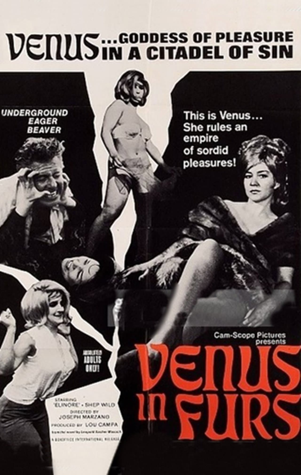 Venus in Furs preview 1