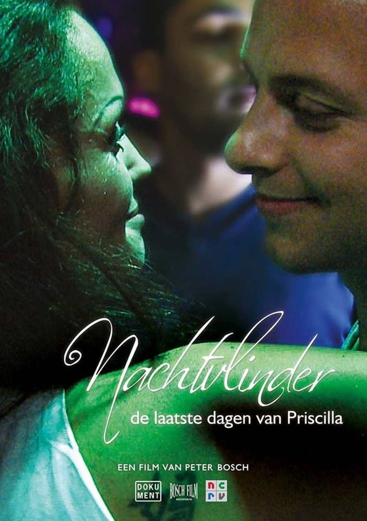 Nachtvlinder: De Laatste Dagen van Priscilla preview 1