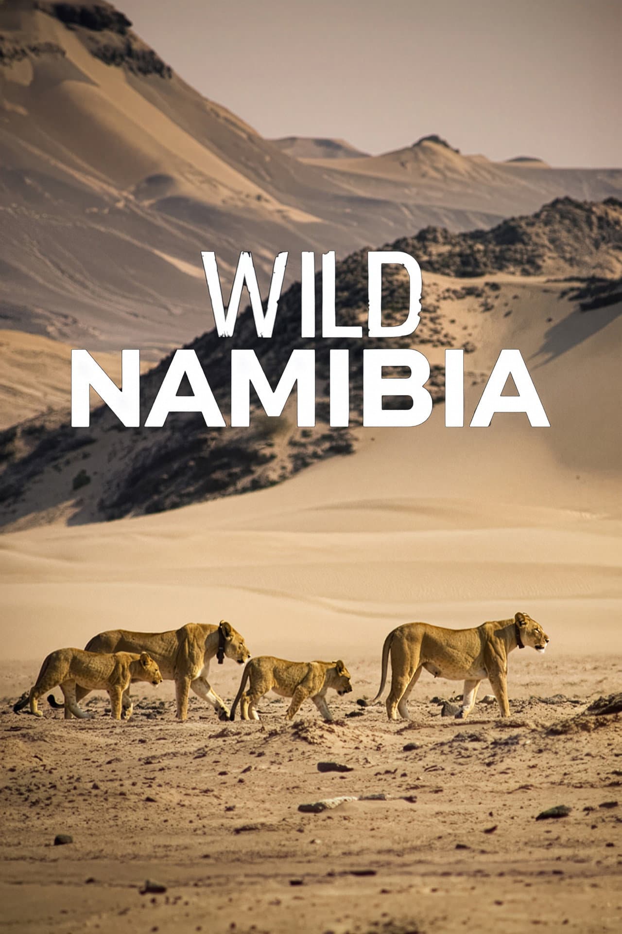 Wild Namibia preview 1