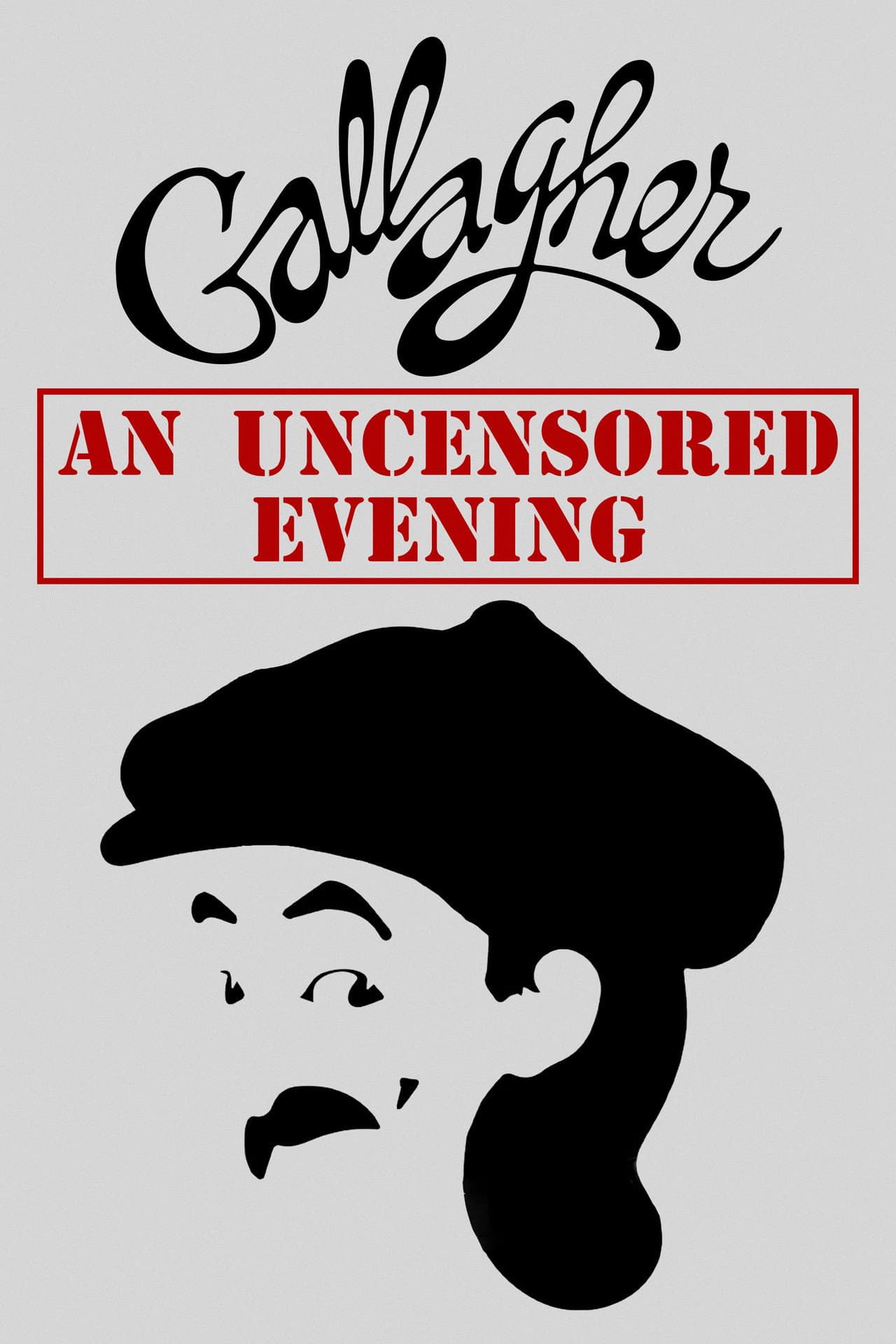 Gallagher: An Uncensored Evening preview 2