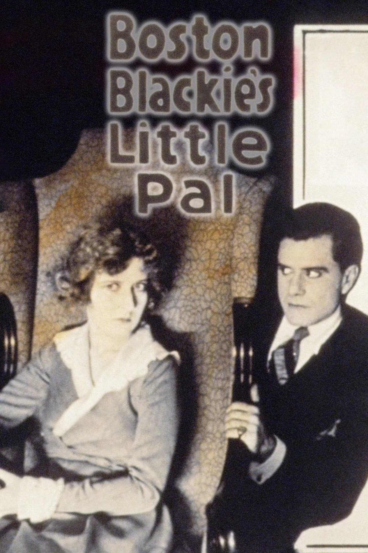 Boston Blackie's Little Pal preview 2