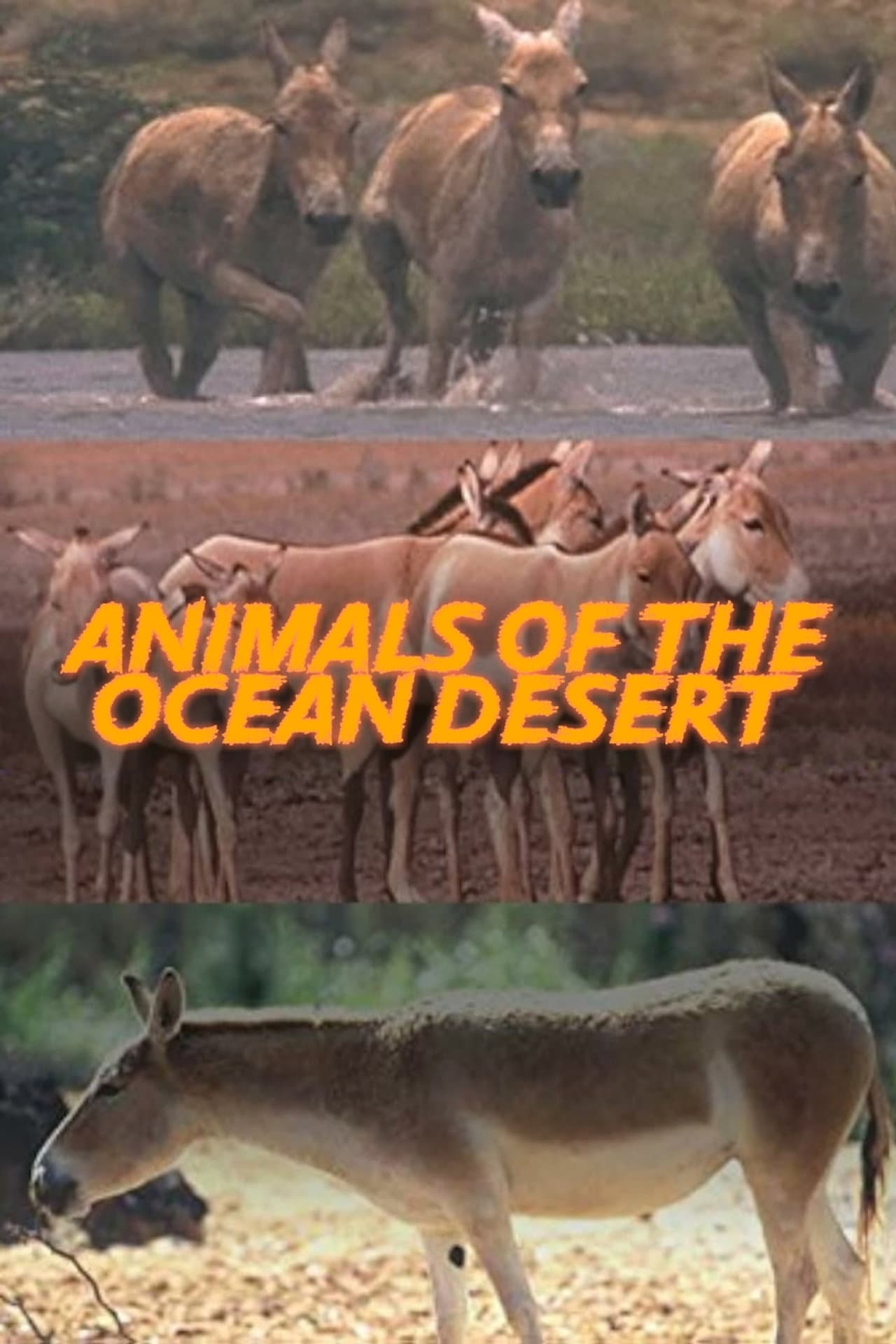 Animals of the Ocean Desert preview 1