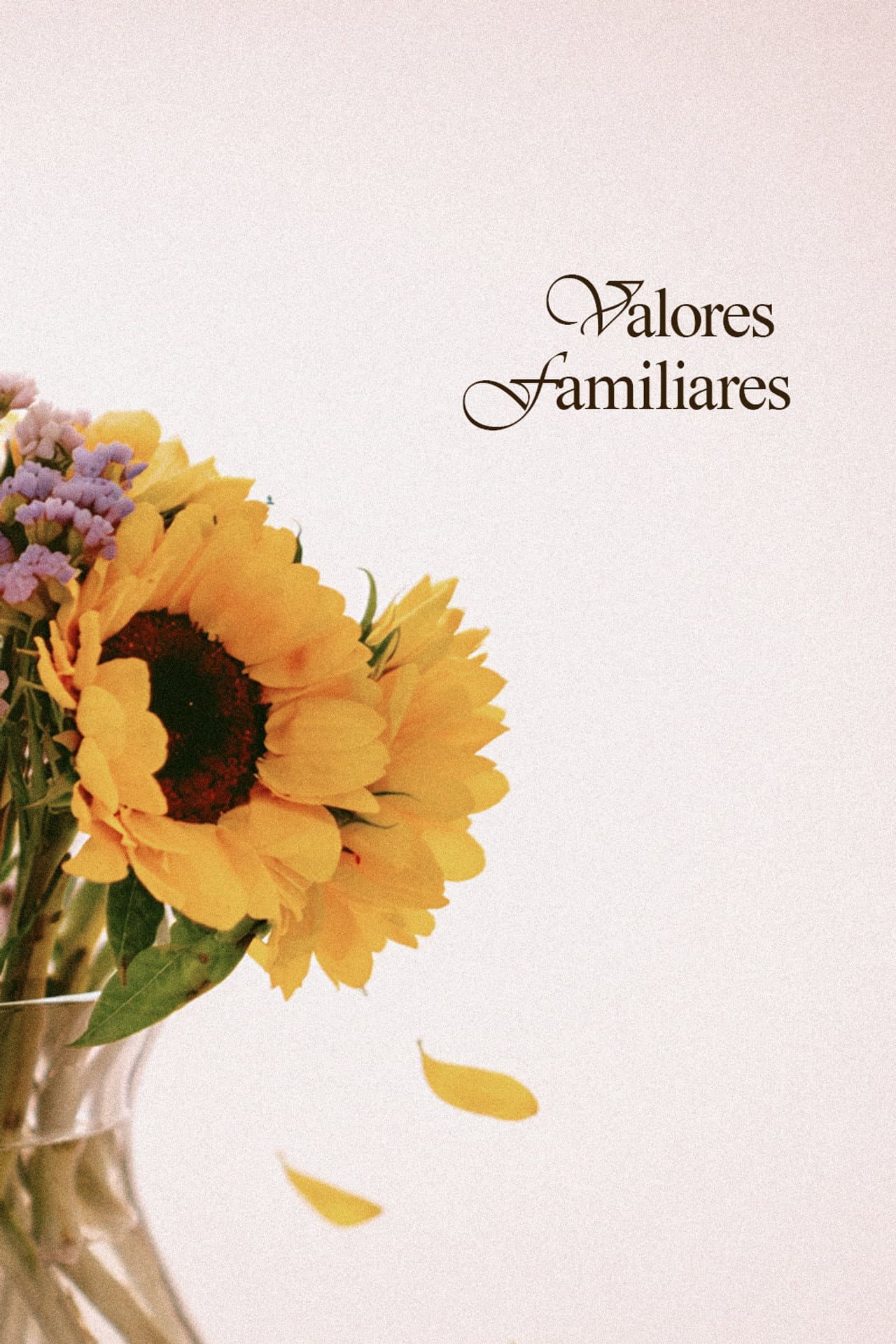 Valores Familiares preview 2