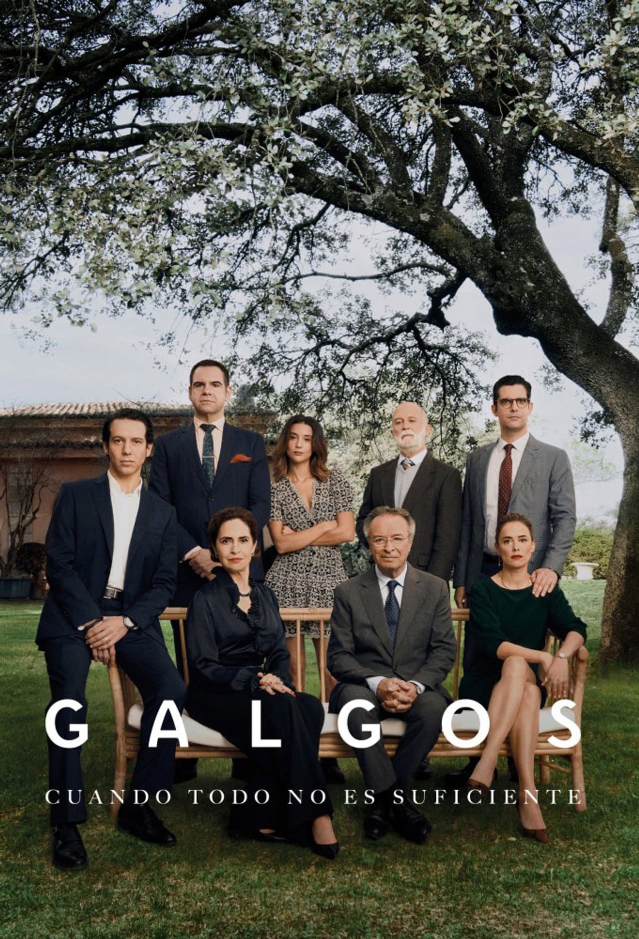 Galgos preview 2