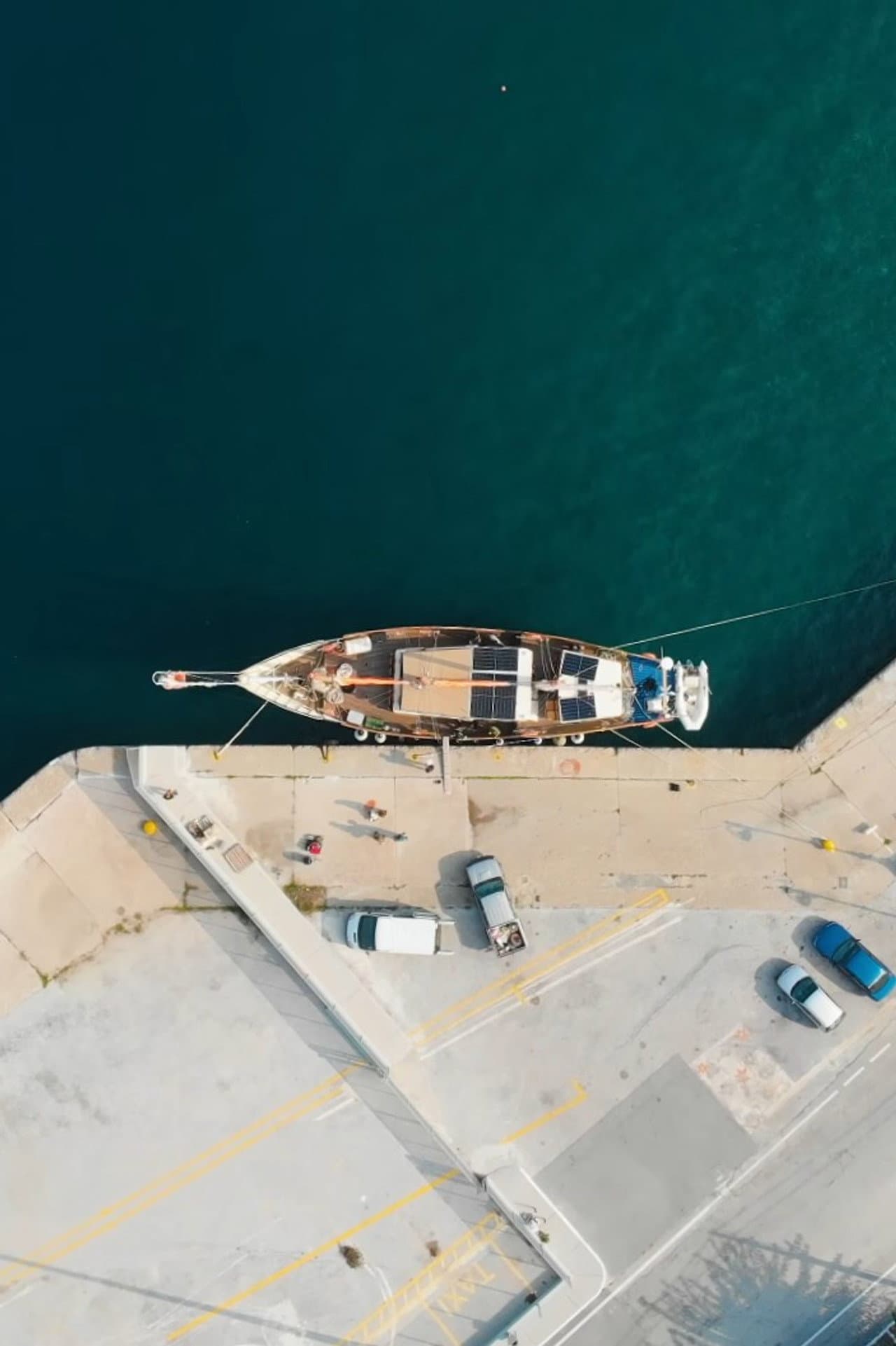Saving the Hidden Coral of the Mediterranean preview 2