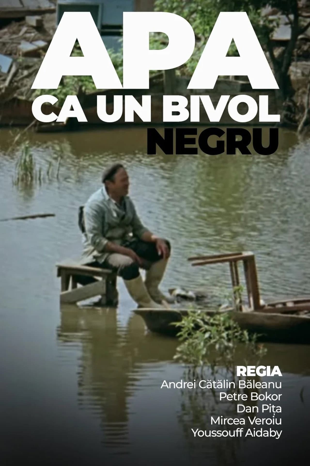 Water Like a Black Buffalo preview 1