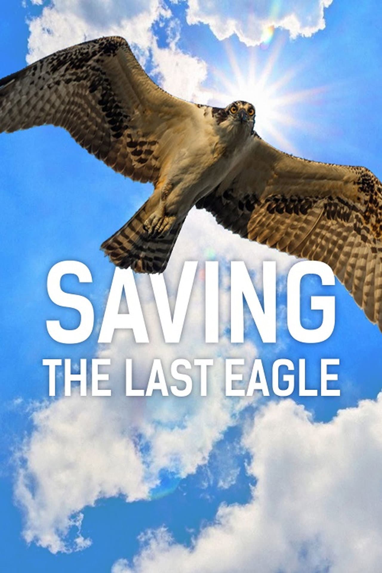 Saving The Last Eagle preview 1