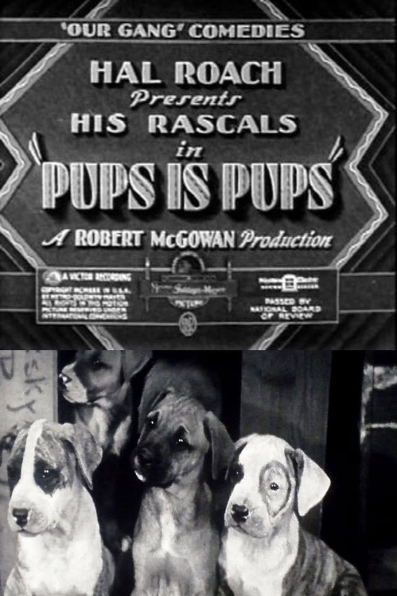 Pups Is Pups preview 2