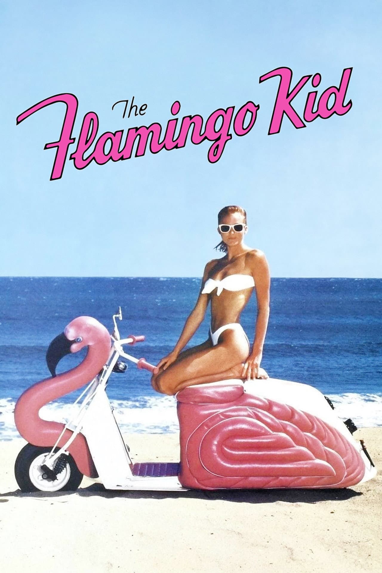The Flamingo Kid preview 2