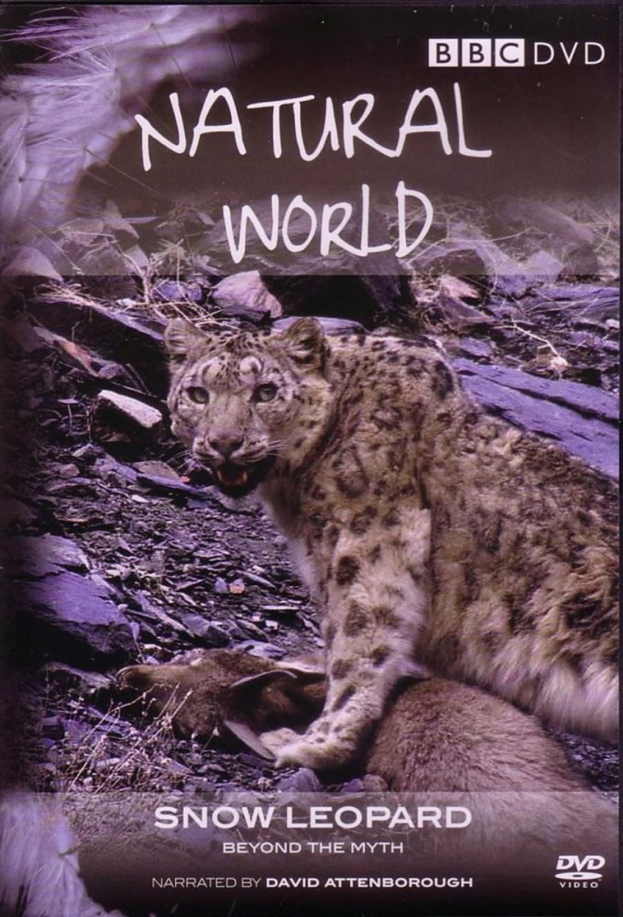 Snow Leopard: Beyond the Myth preview 2
