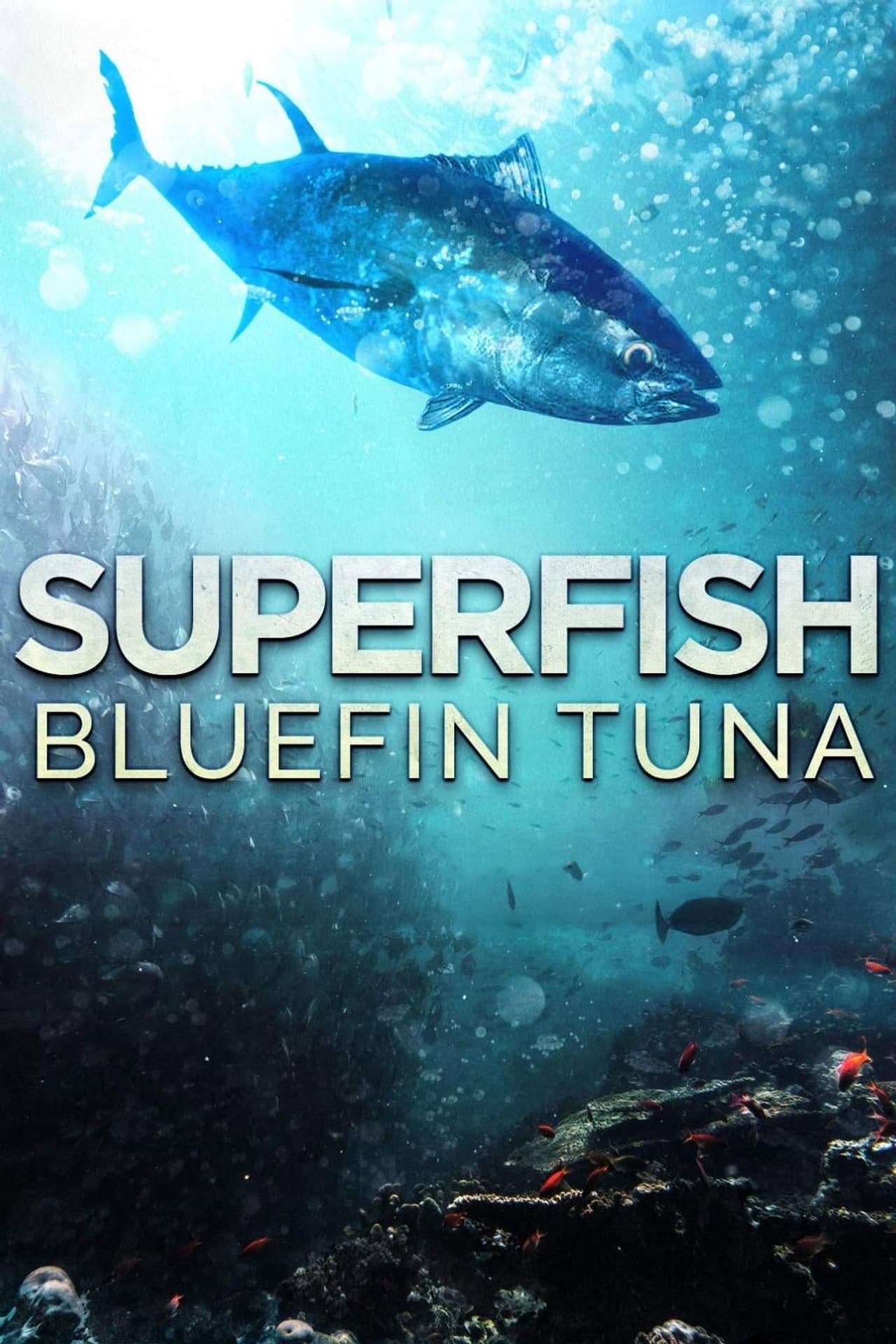 Superfish: Bluefin Tuna preview 2