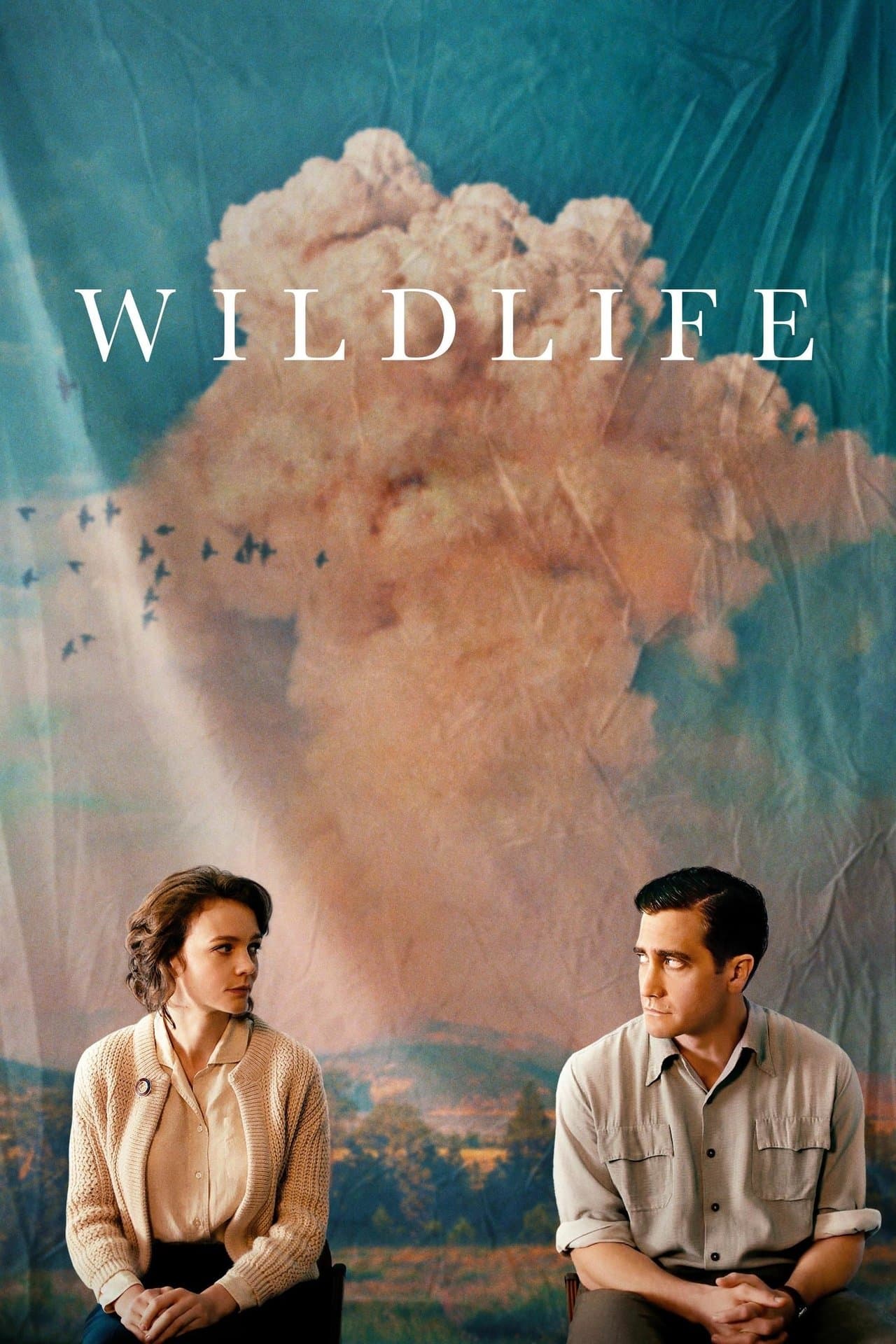 Wildlife preview 2