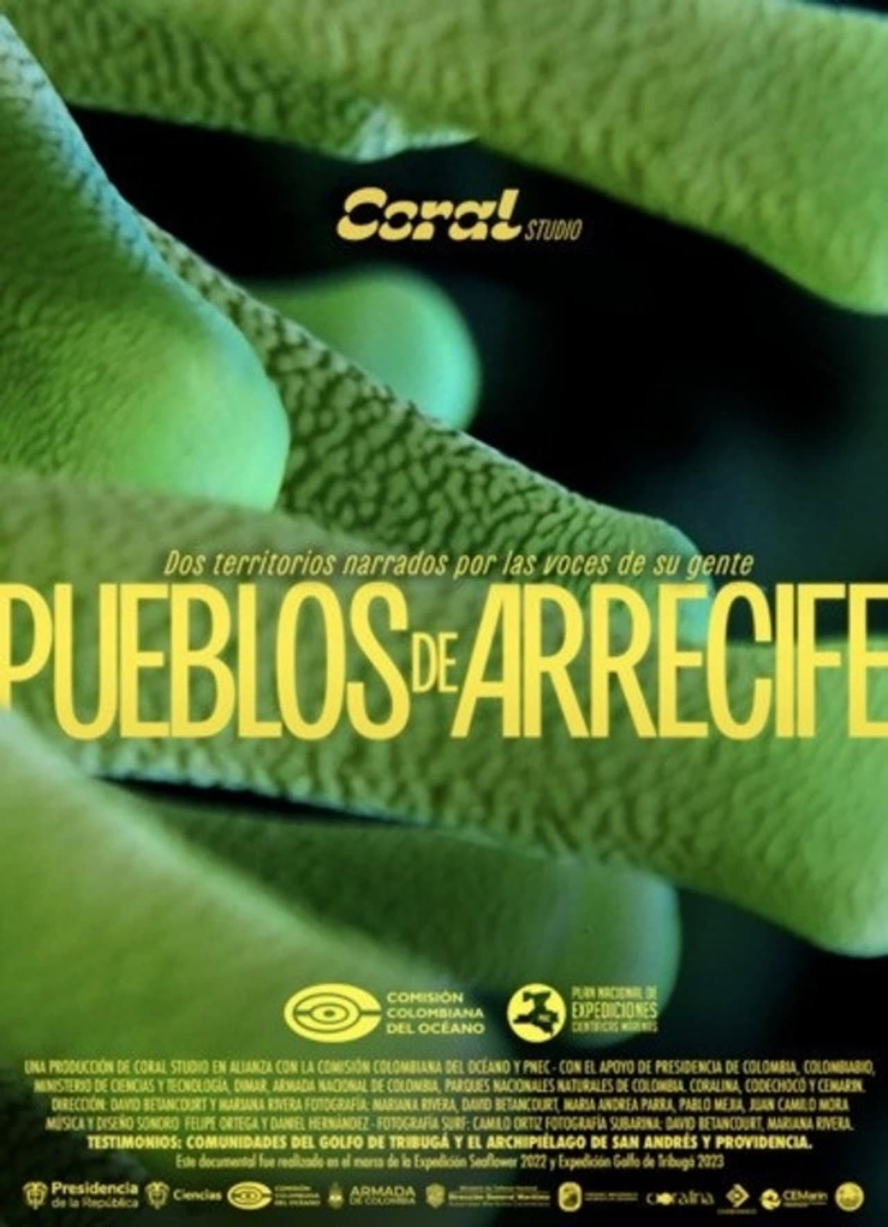 Pueblos de Arrecife preview 2