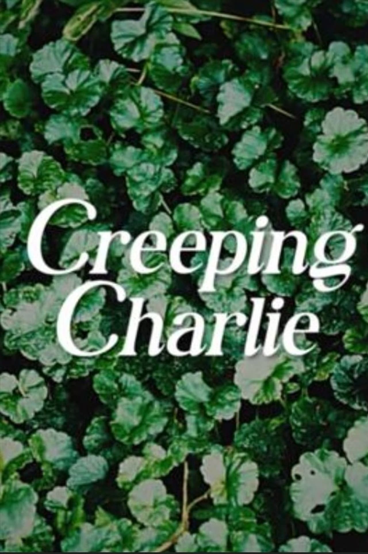 Creeping Charlie preview 1