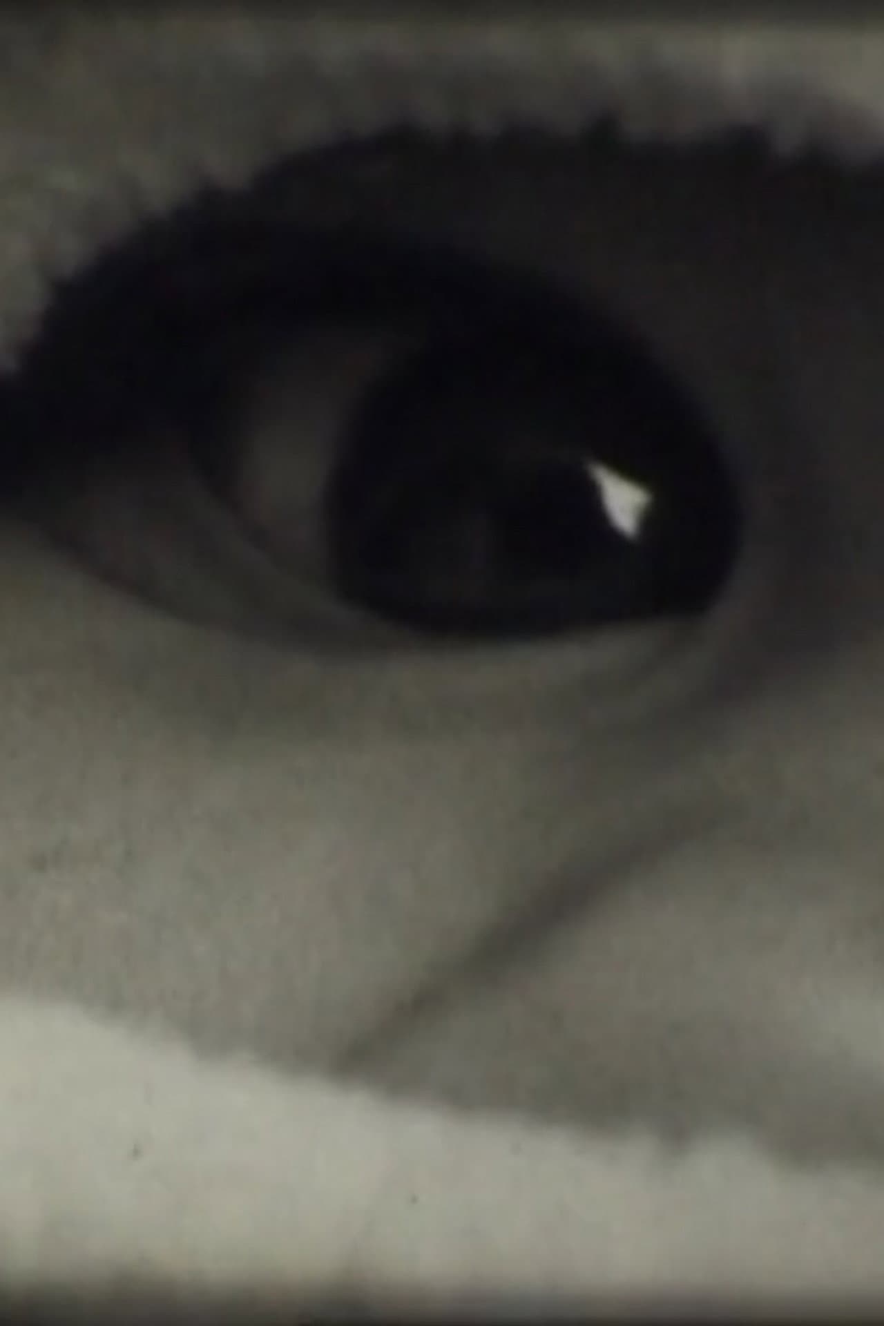 Le Corps Humain preview 1