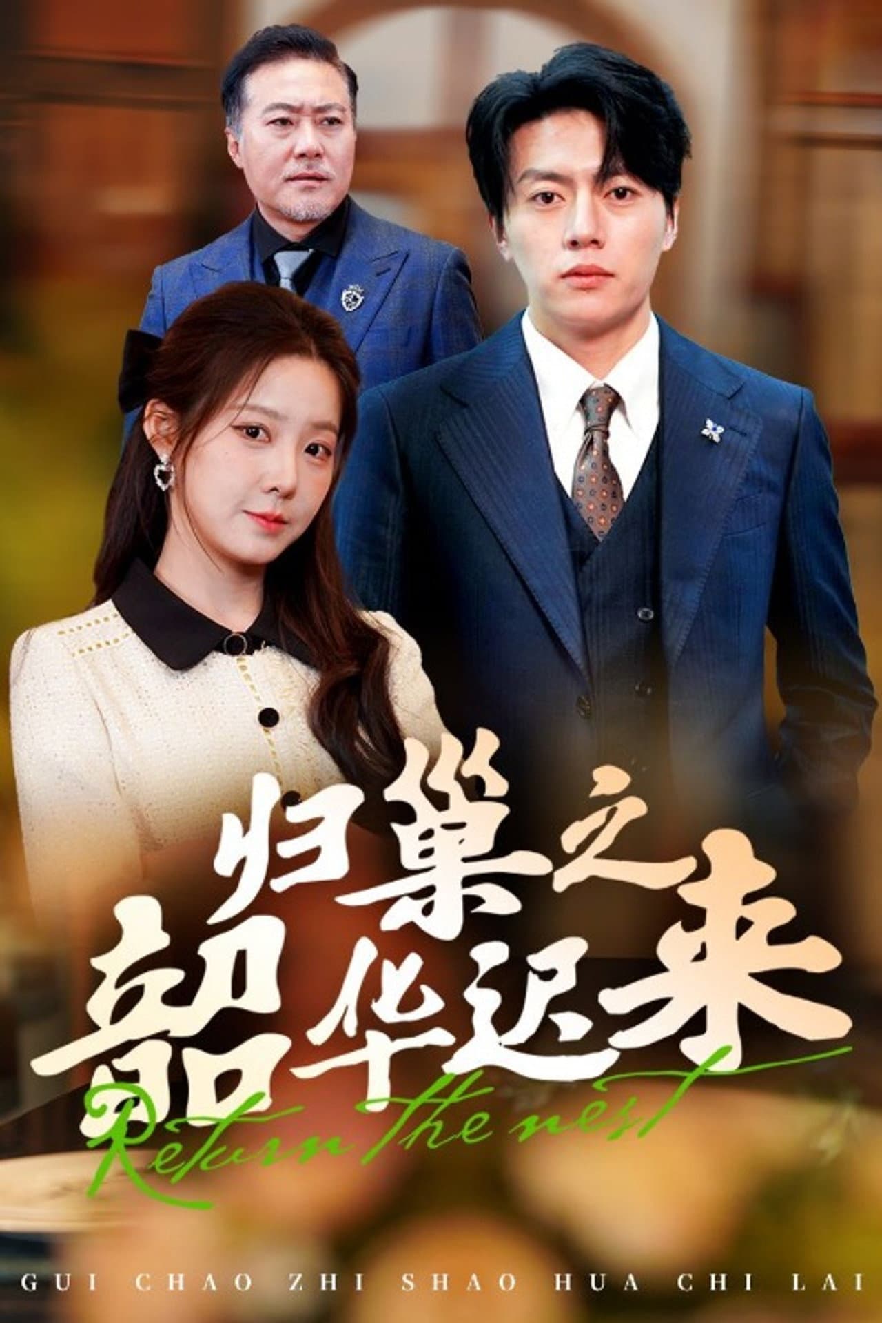 归巢之韶华迟来 preview 1