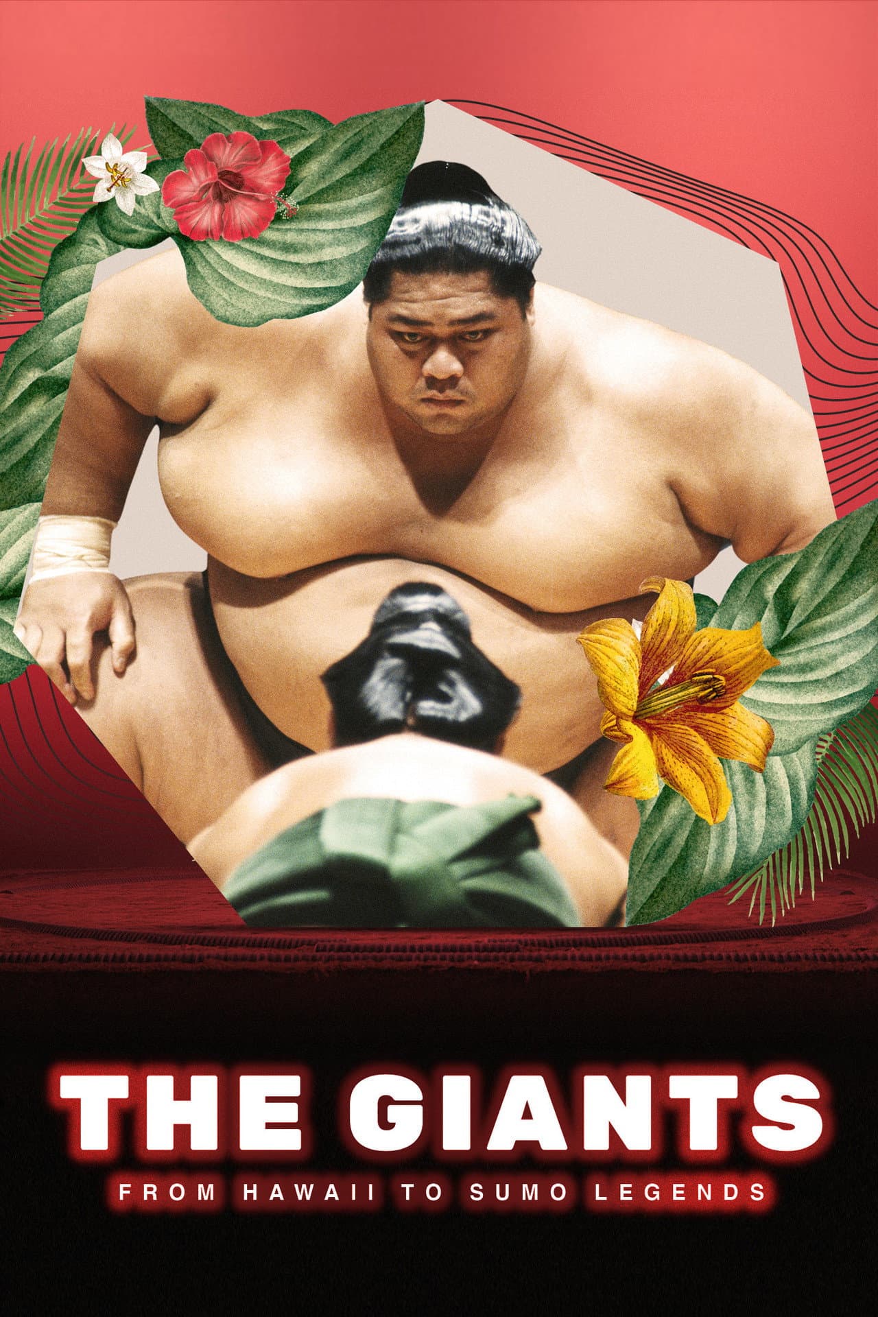 The Giants: From Hawaii To Sumo Legends preview 1
