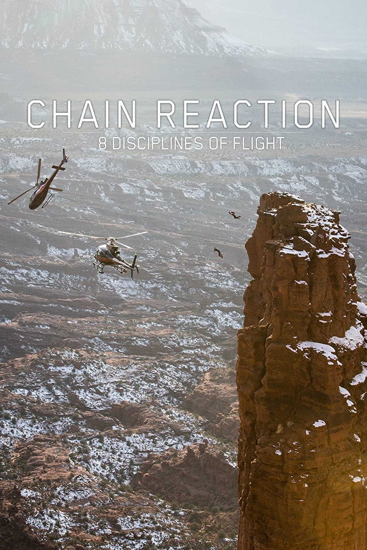 Chain Reaction - 8 Disciplines of Flight preview 1