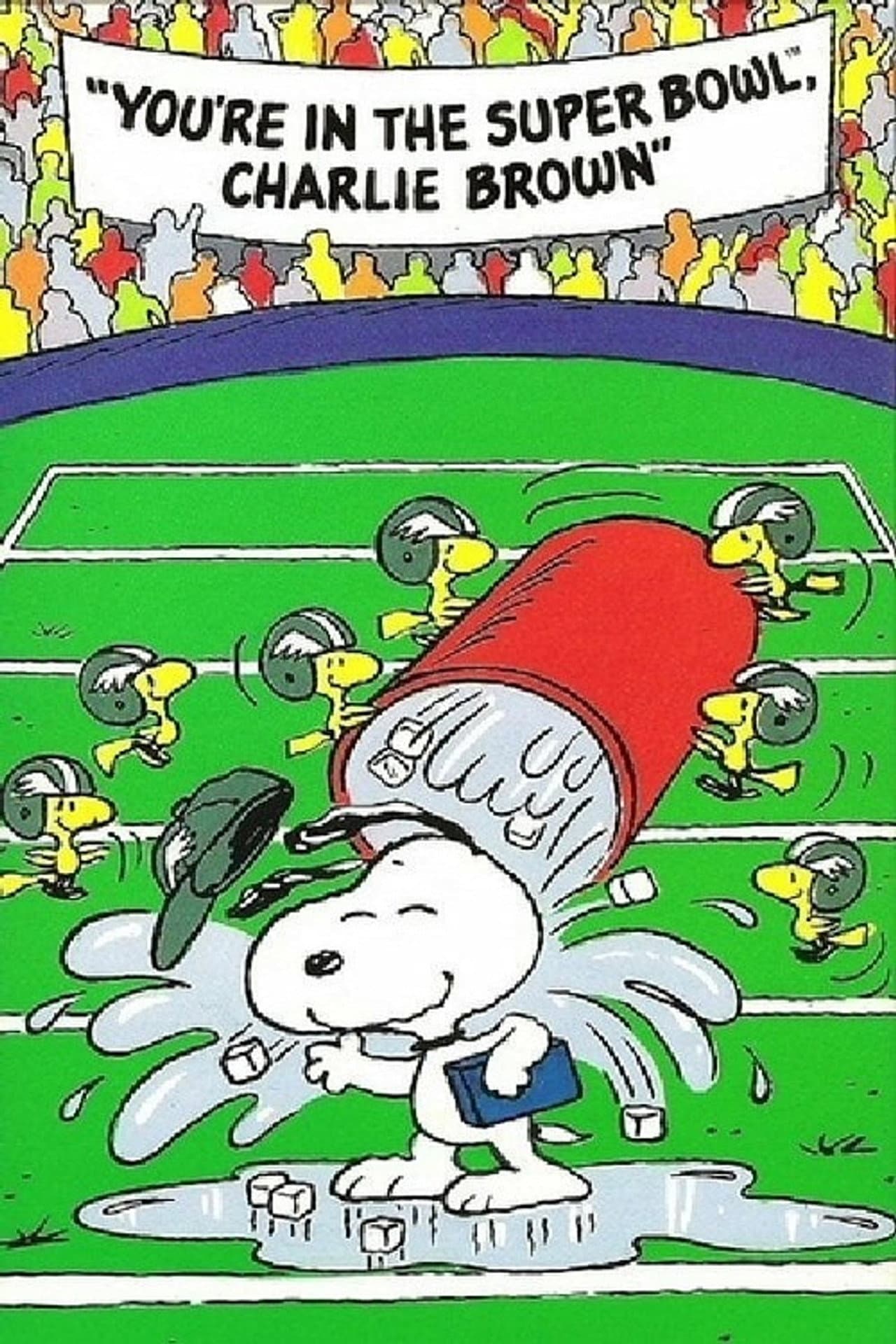 You're in the Super Bowl, Charlie Brown! preview 2