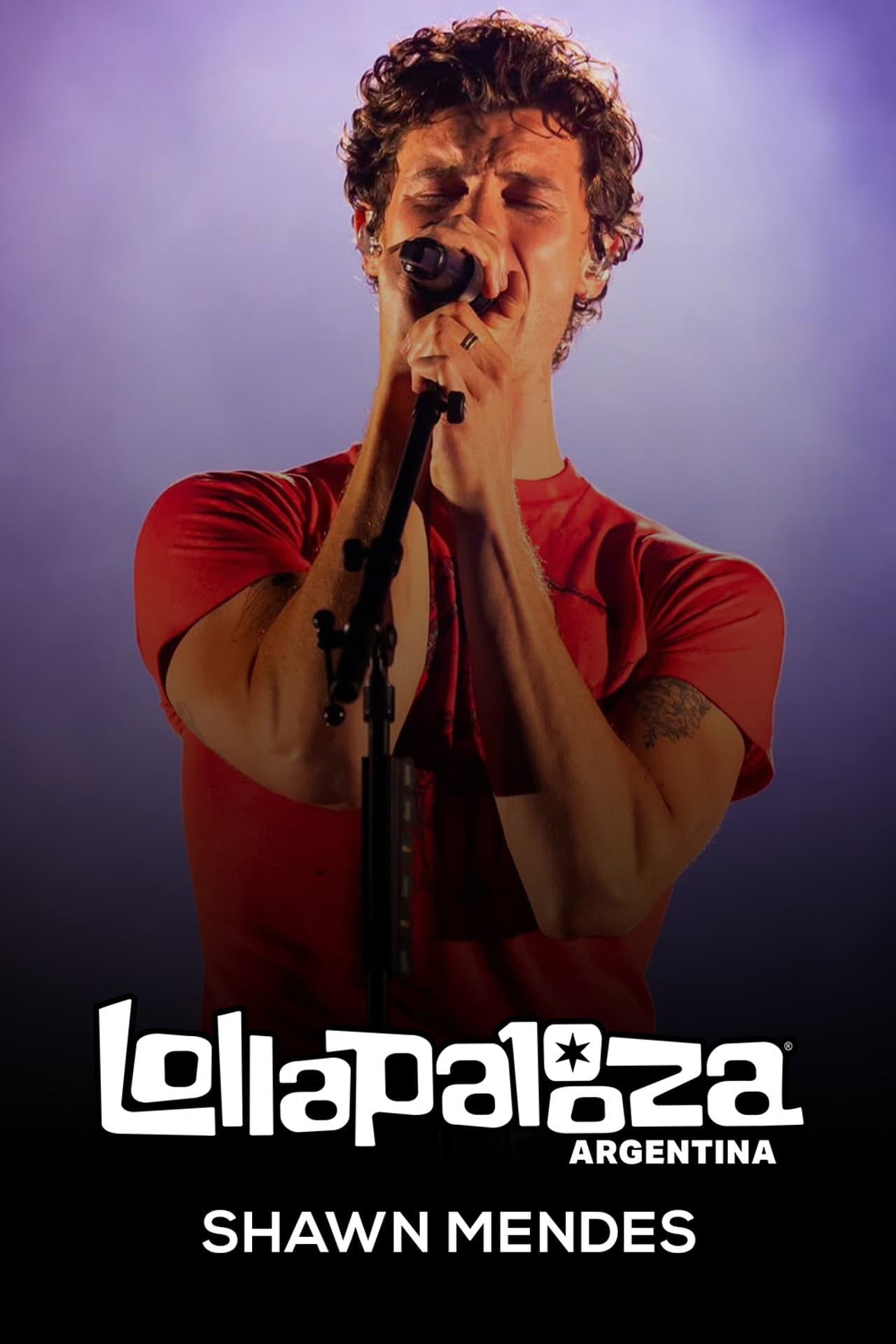 Shawn Mendes: Lollapalooza Argentina 2025 preview 2