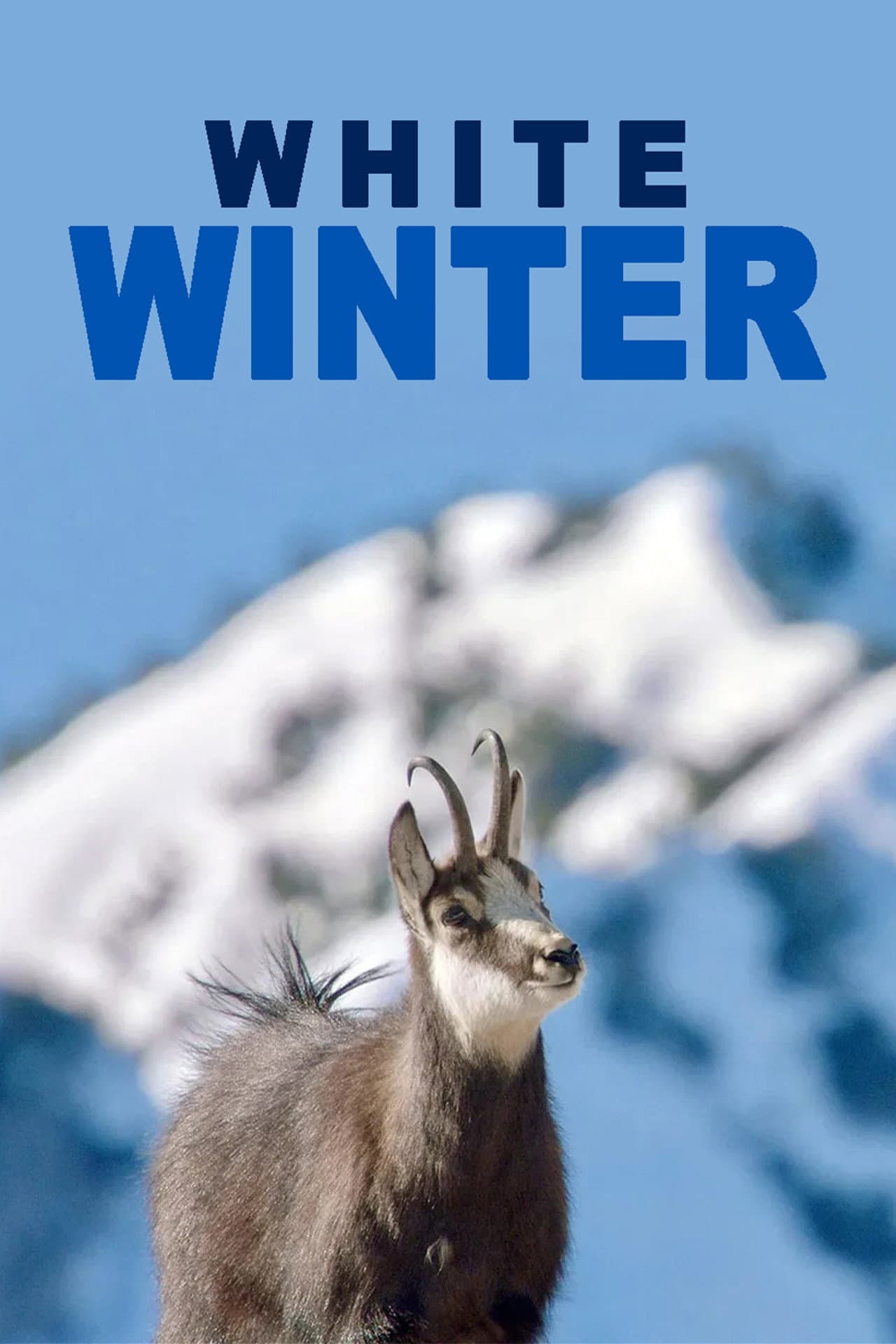 White Winter preview 2