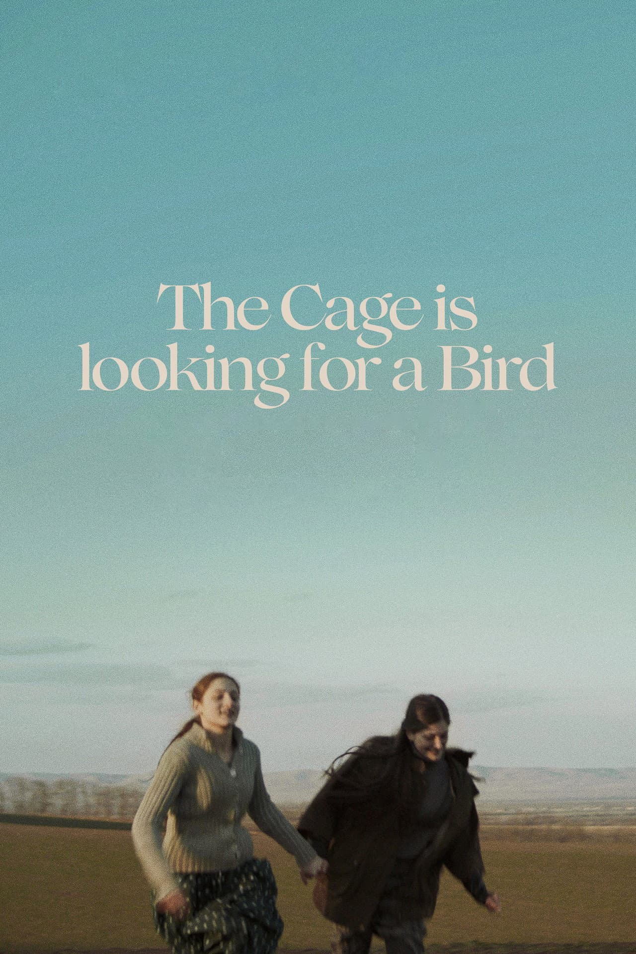 The Cage is Looking for a Bird preview 2