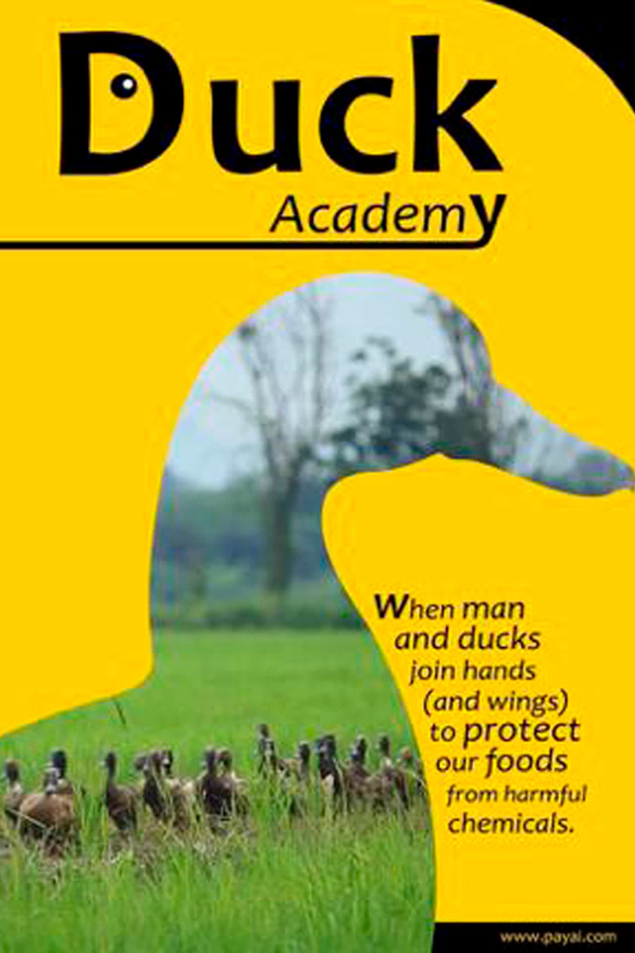 Duck Academy preview 2