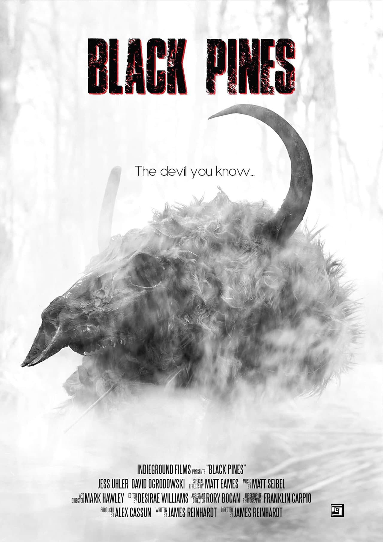 Black Pines preview 1