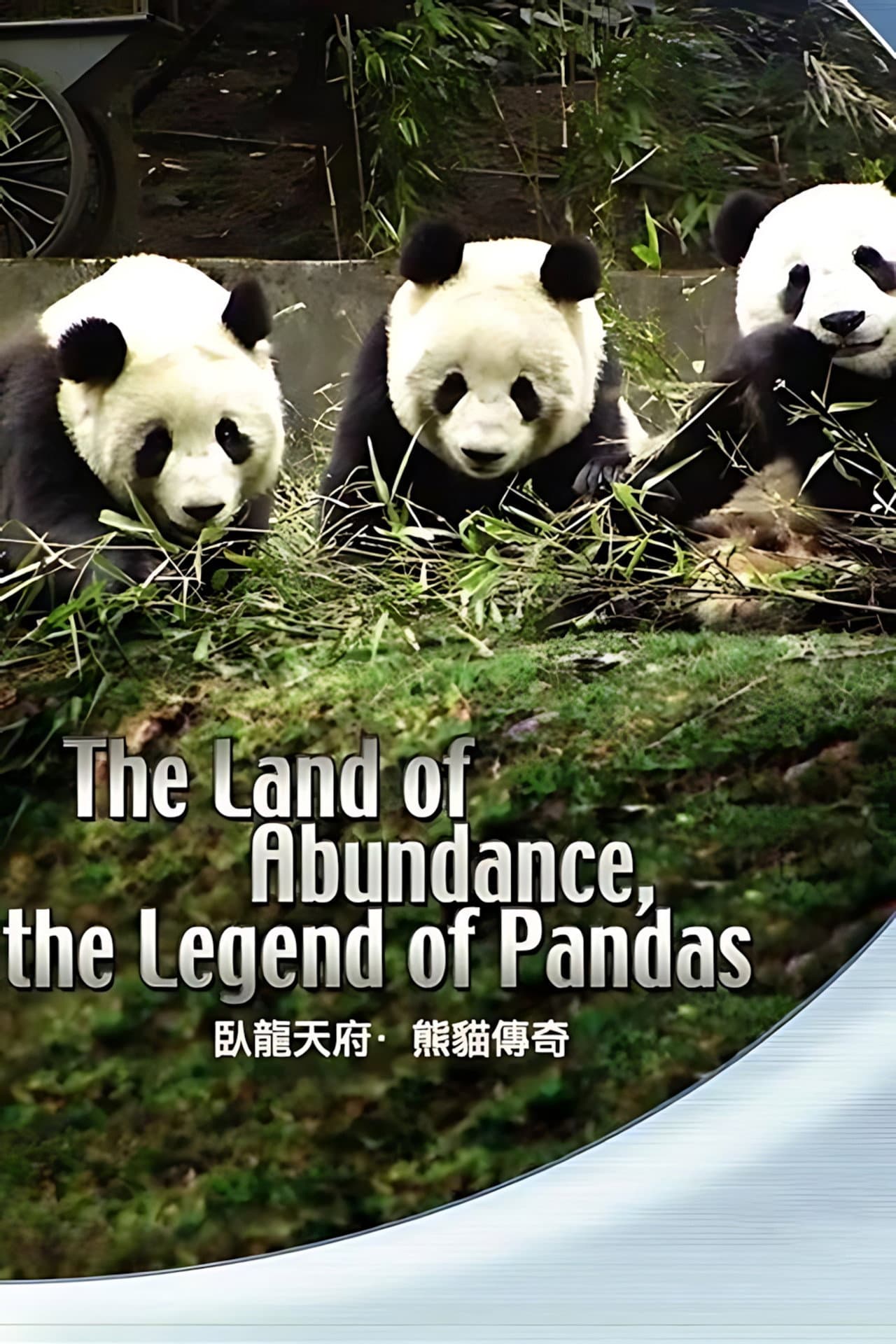 The Land Of Abundance The Legend Of Pandas preview 2