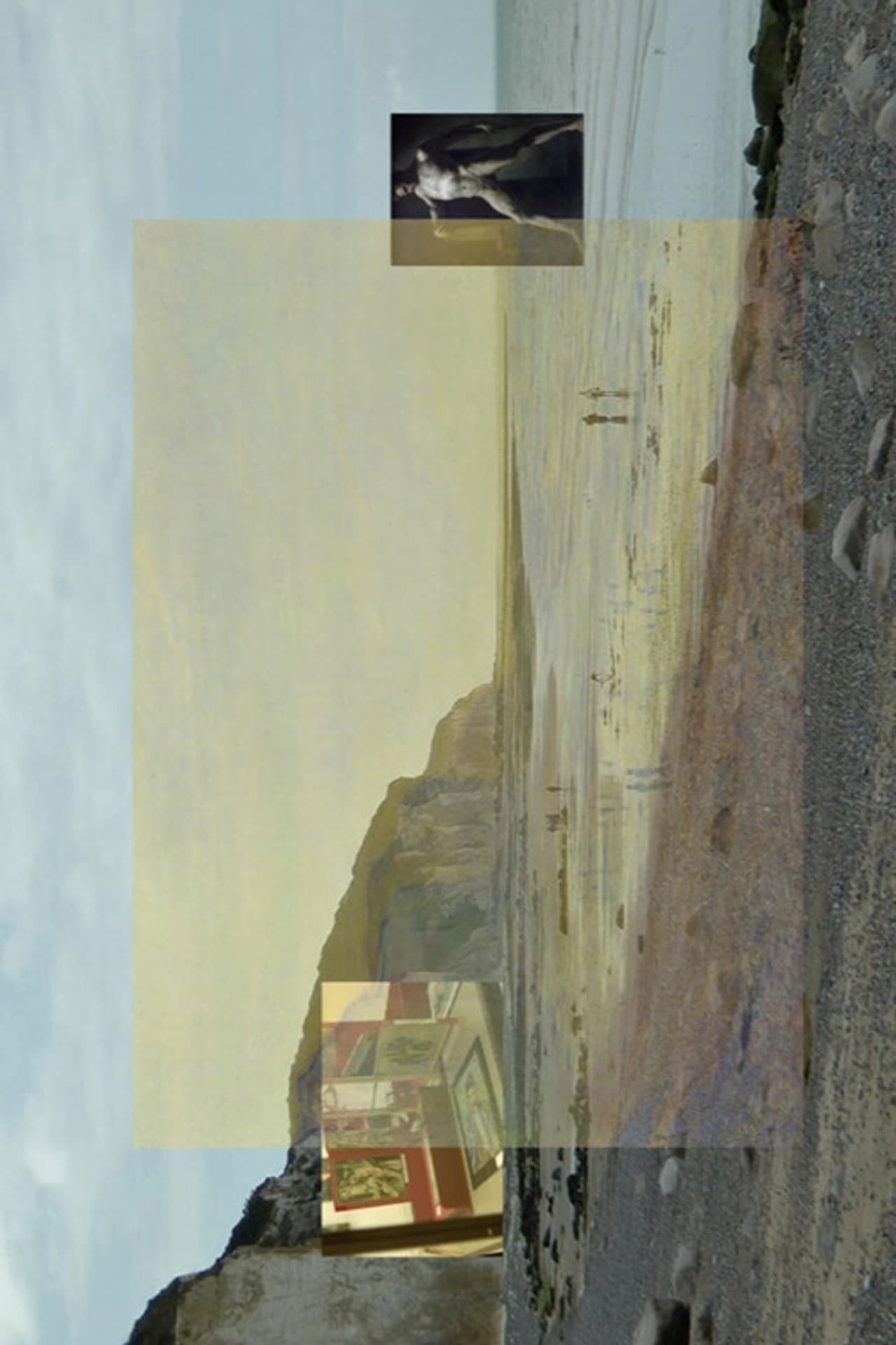 Studies on Monet (In the Imaginary Museum) preview 2