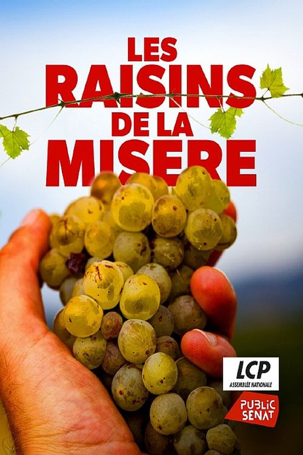 Les raisins de la misère preview 2