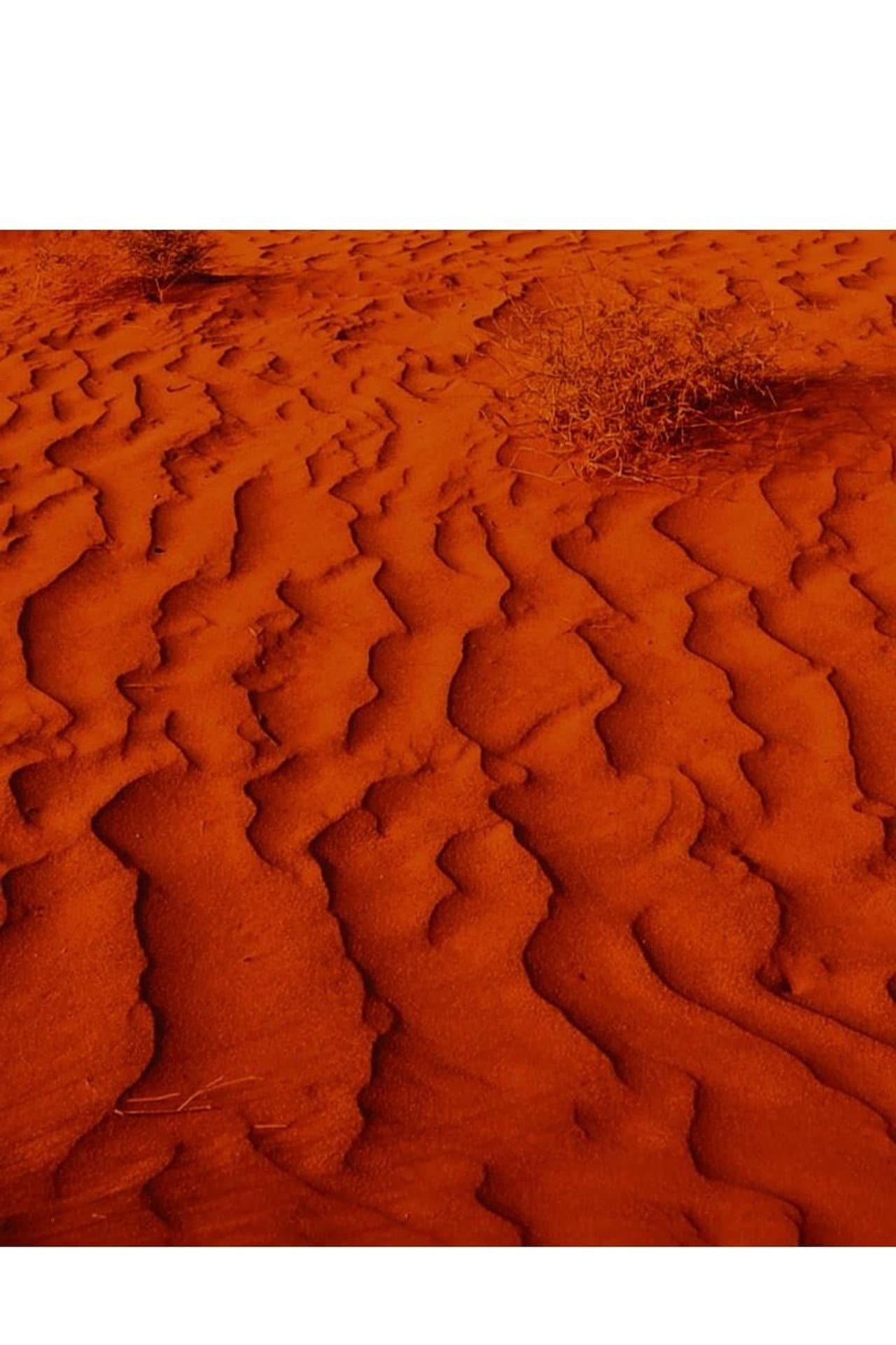 Exile & Desertification preview 2