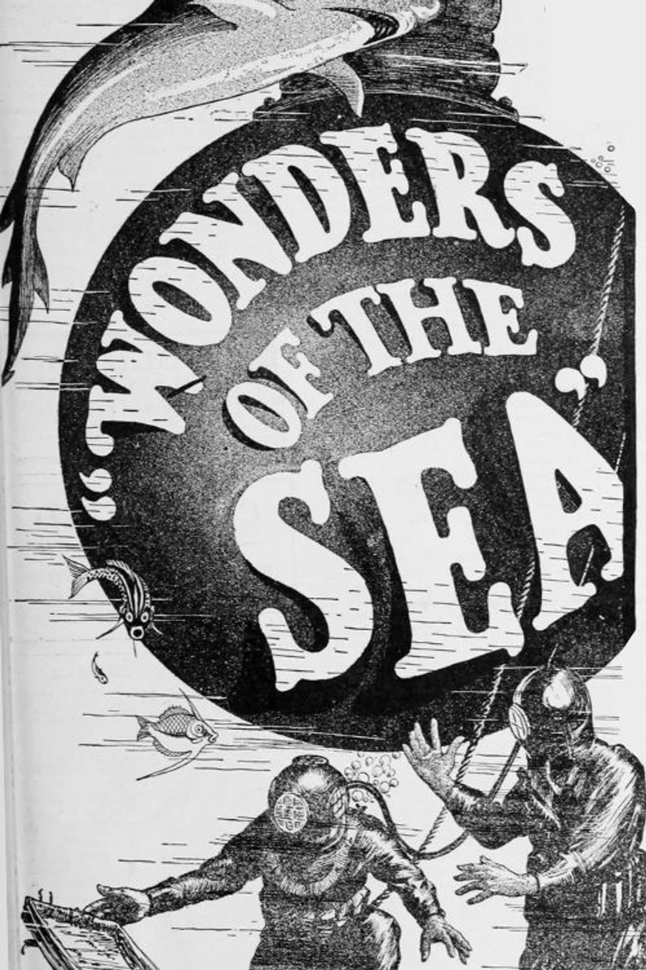 Wonders of the Sea preview 1