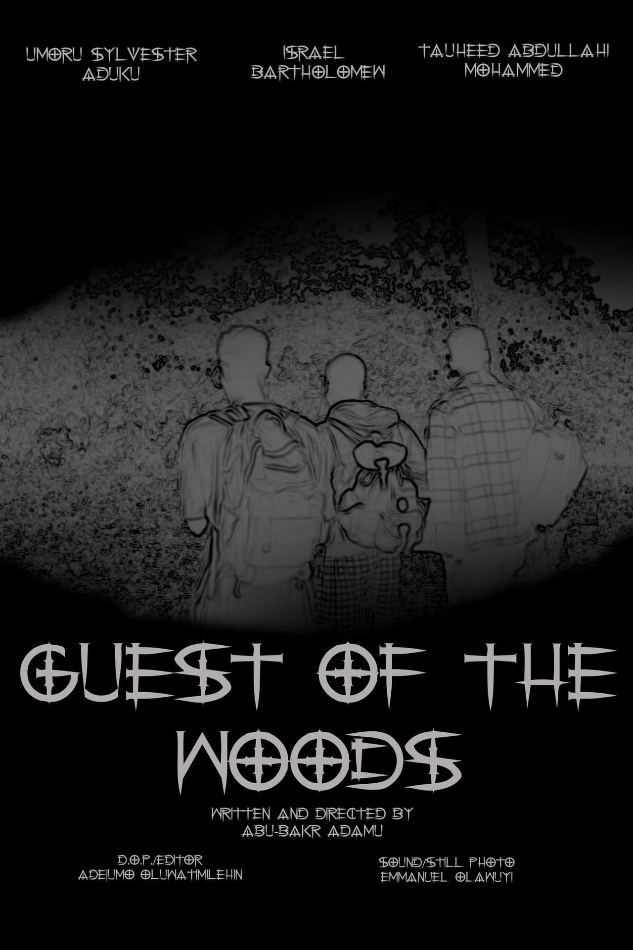 Guest Of The Woods preview 2