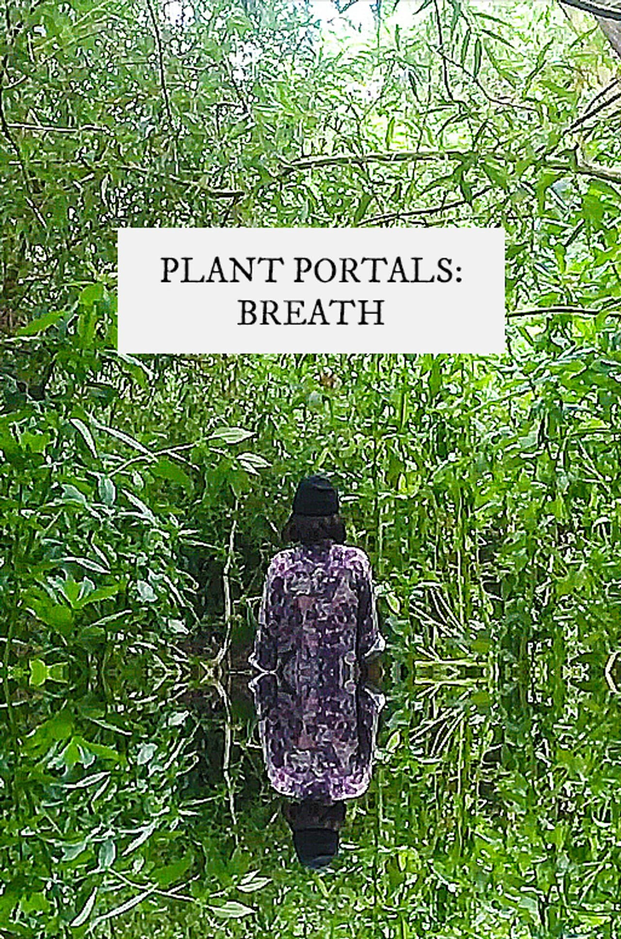 plant portals: breath preview 1