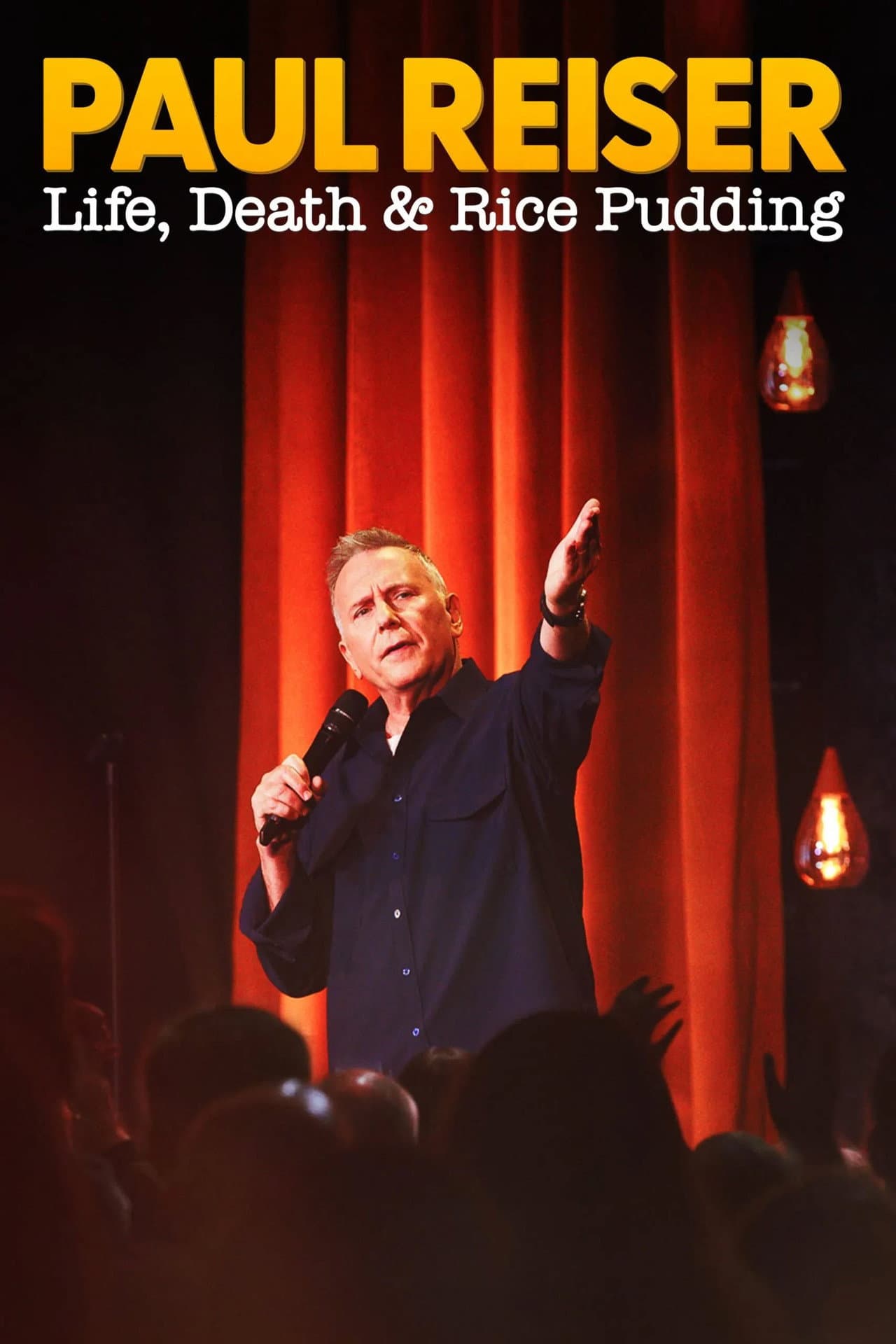 Paul Reiser: Life, Death & Rice Pudding preview 2