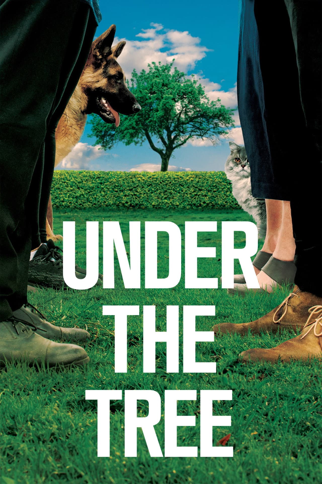 Under the Tree preview 2