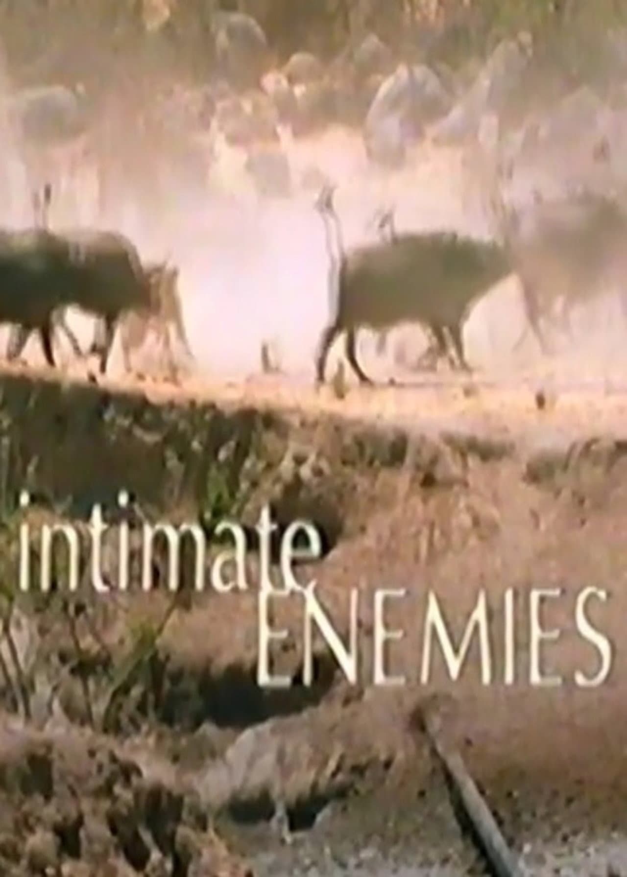 Intimate Enemies preview 1