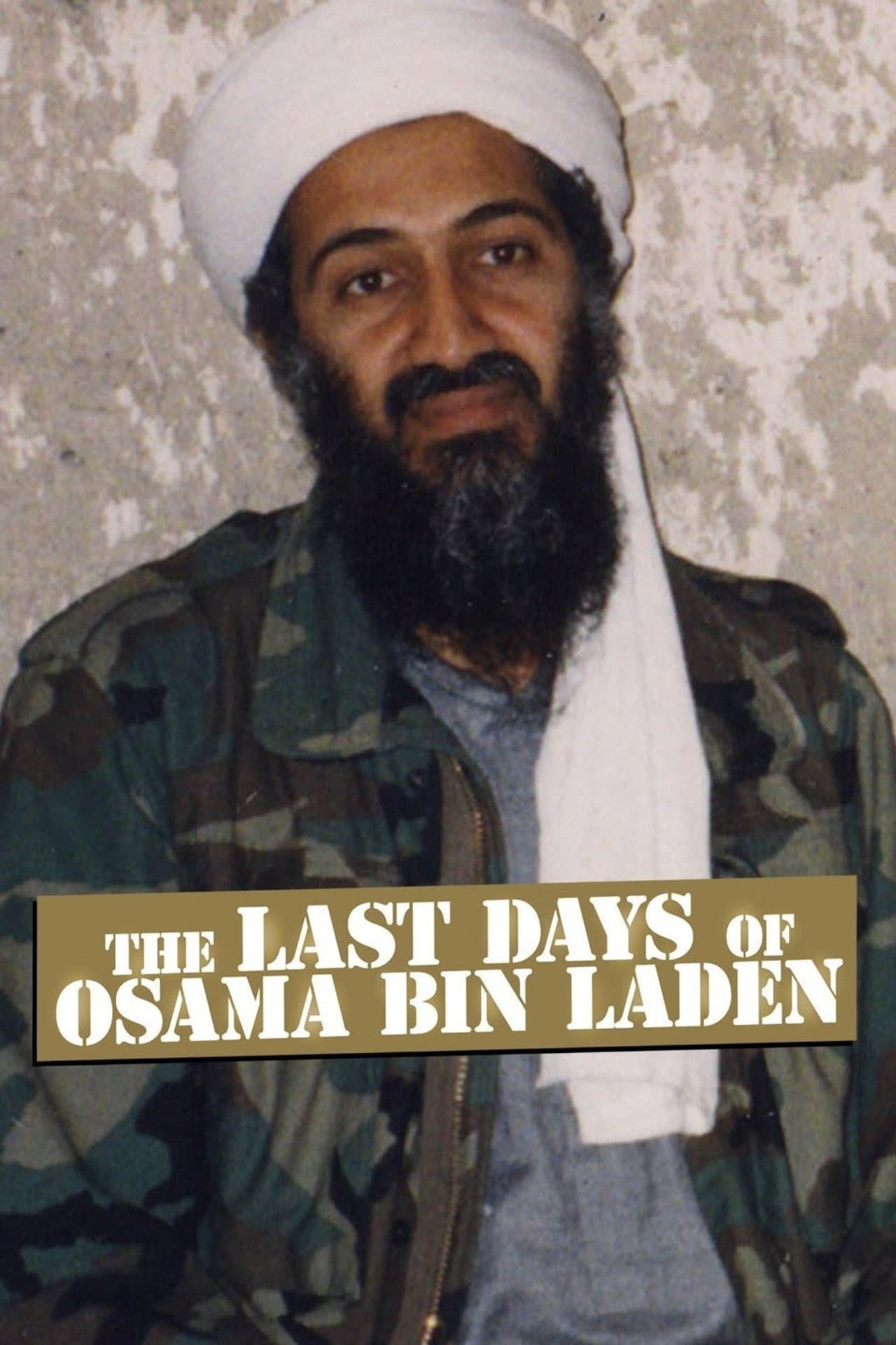 The Last Days of Osama Bin Laden preview 2