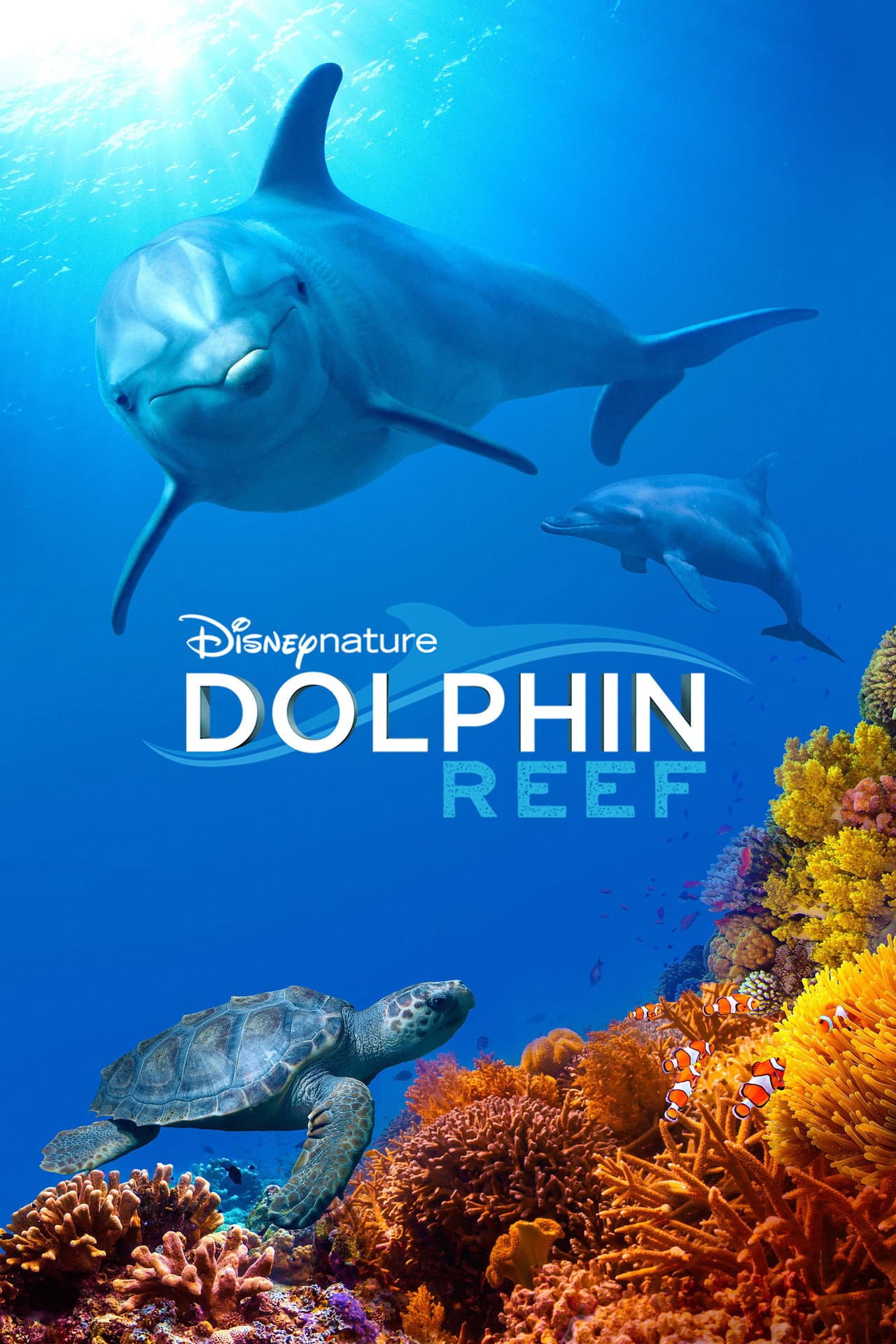 Dolphin Reef preview 2