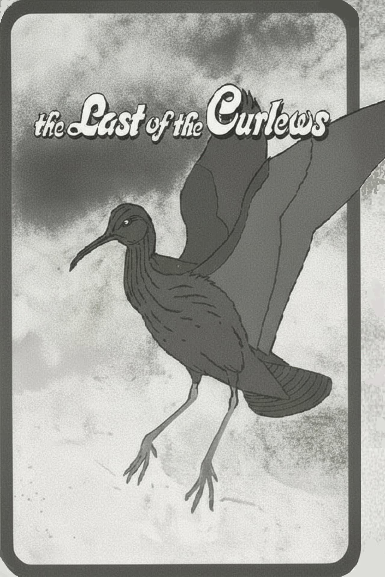 The Last of the Curlews preview 1