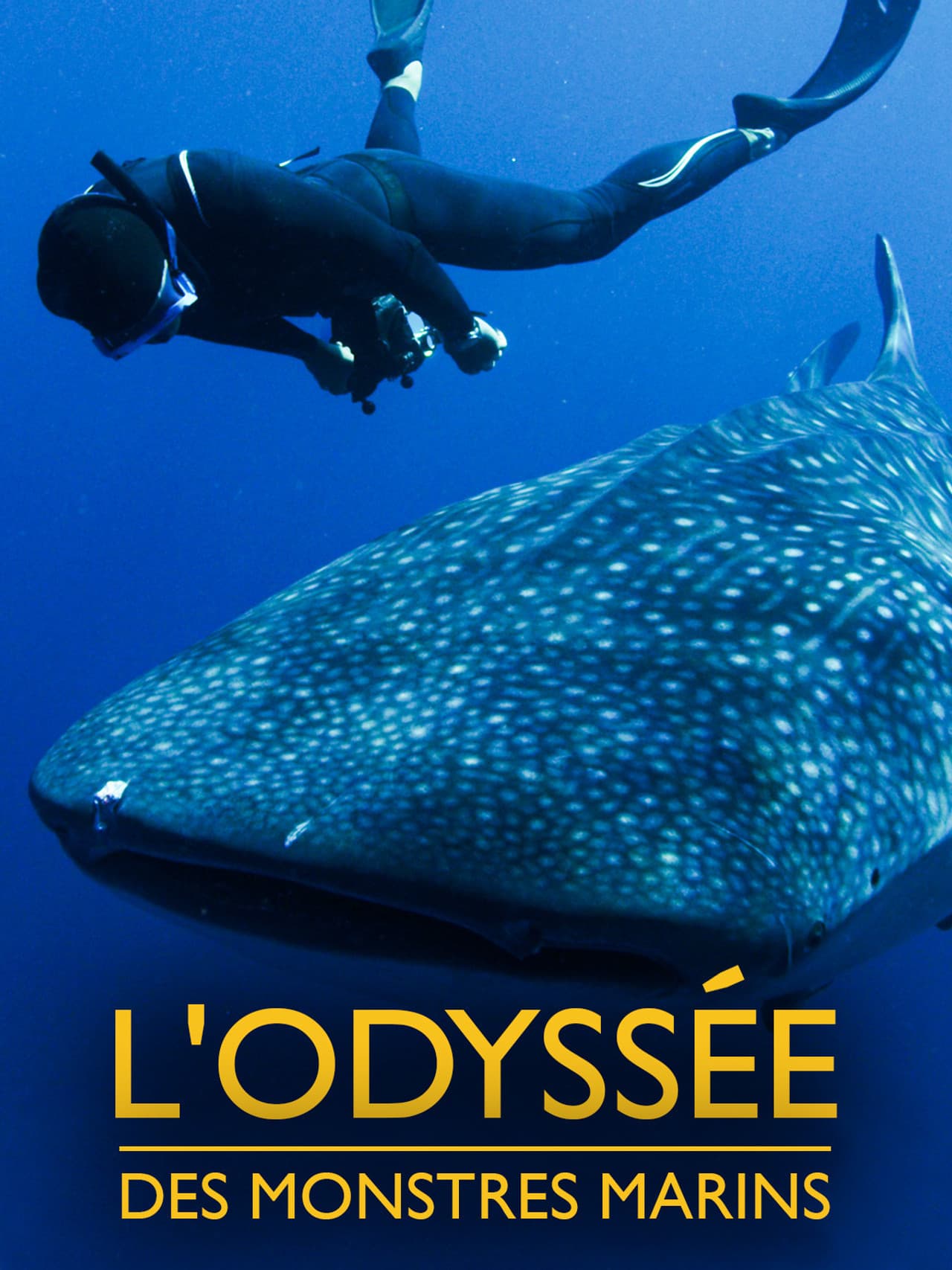 Swimming with Legends preview 2