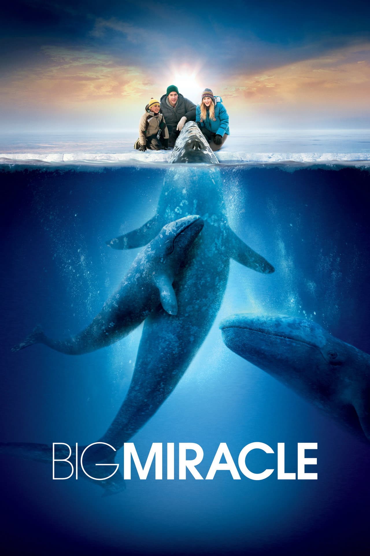 Big Miracle preview 2