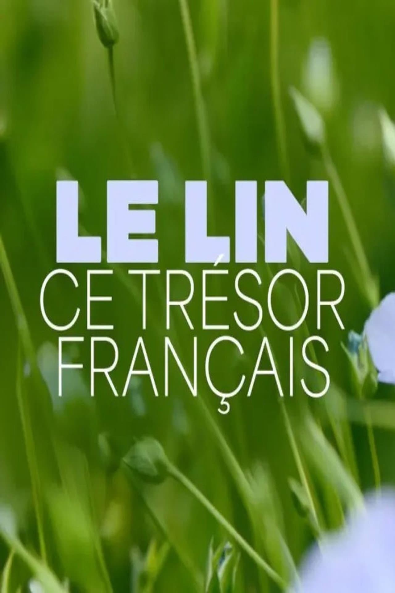 Le lin, ce trésor français preview 2
