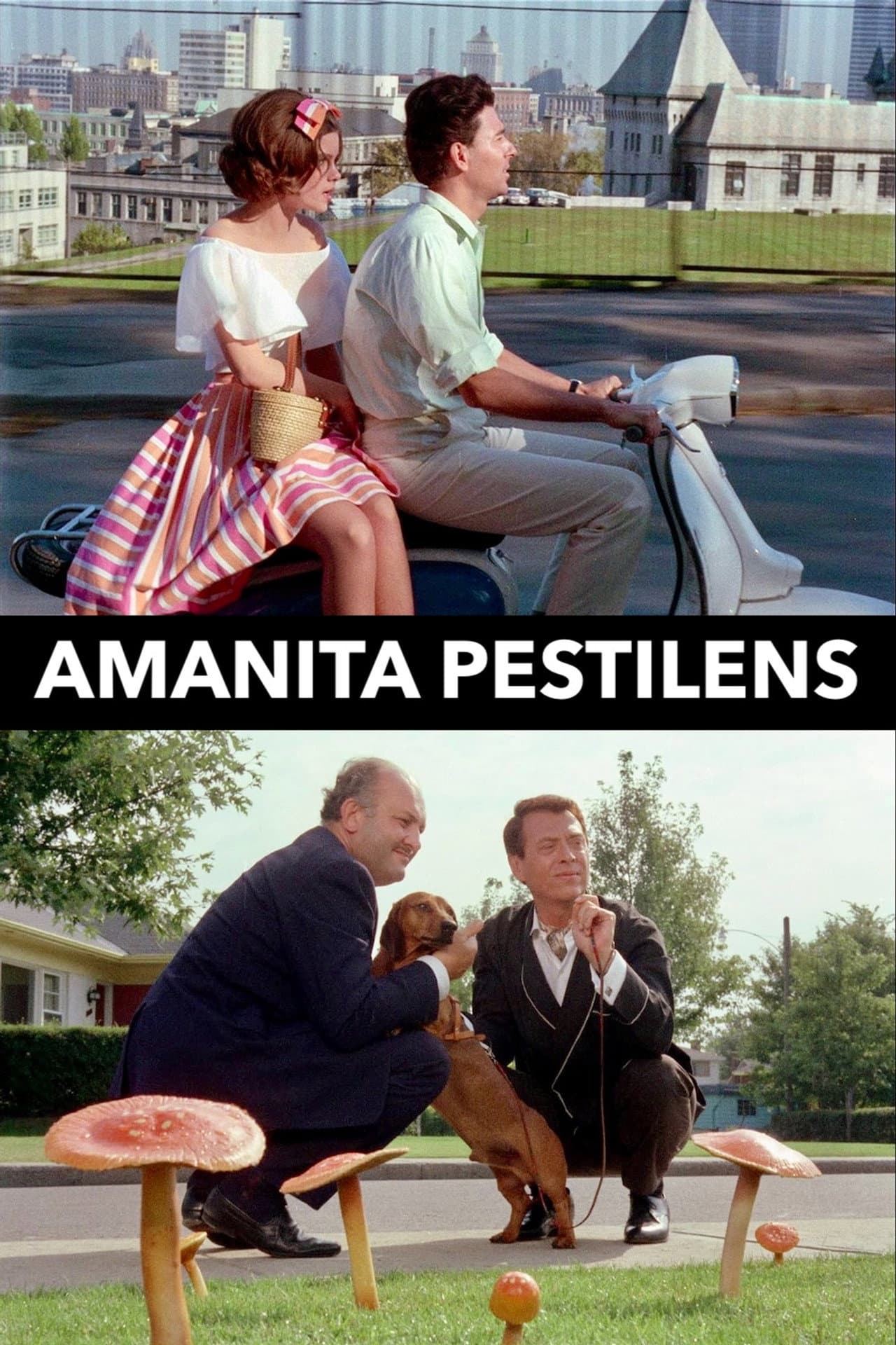 Amanita Pestilens preview 2