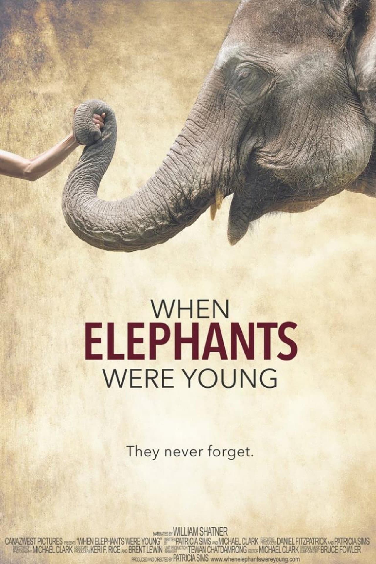 When Elephants Were Young preview 2
