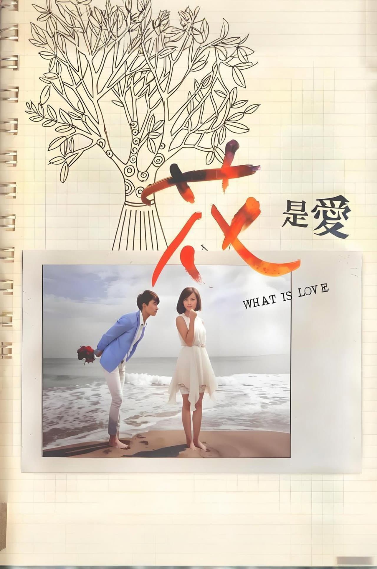 What is Love preview 2