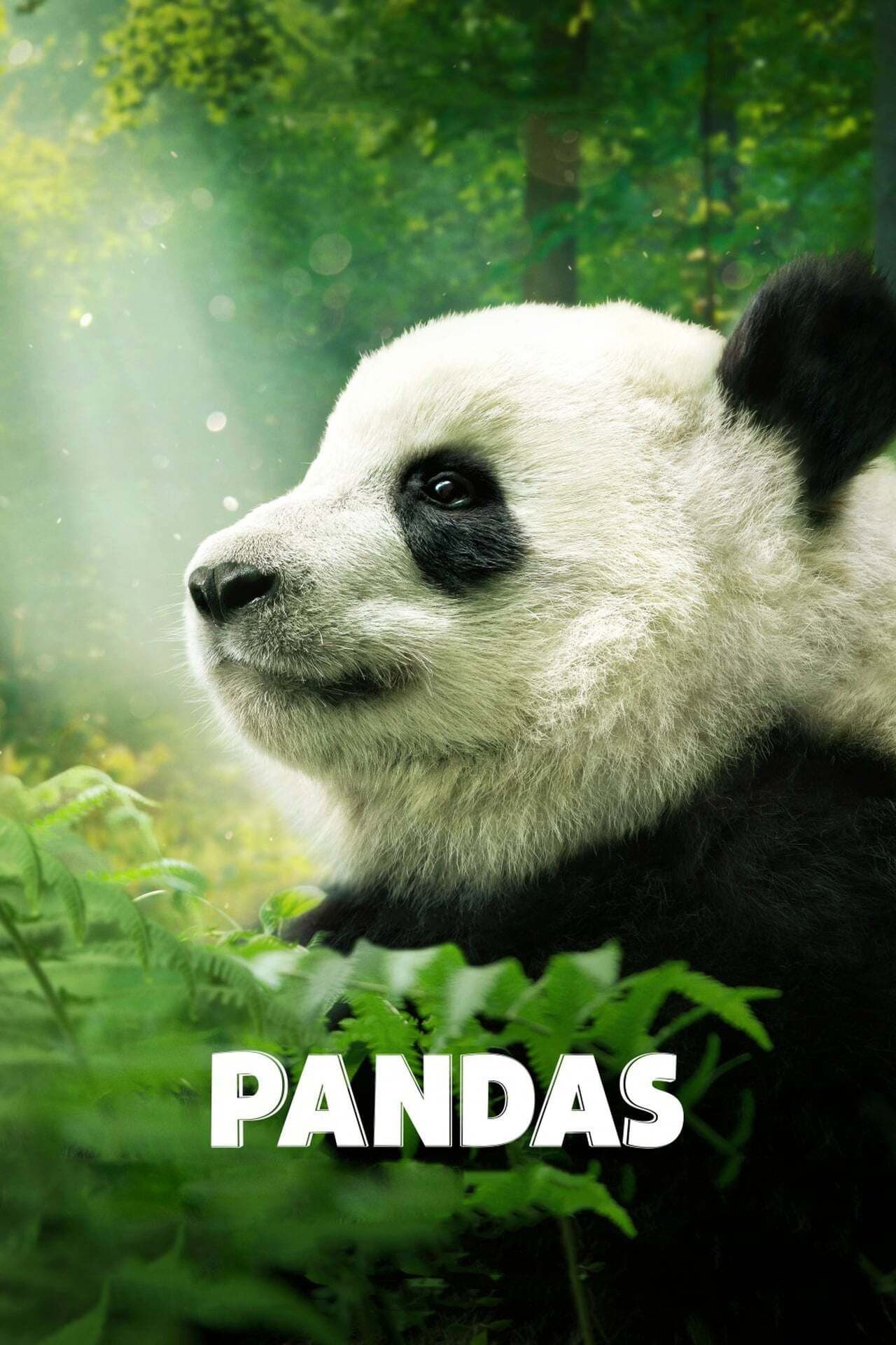 Pandas preview 2