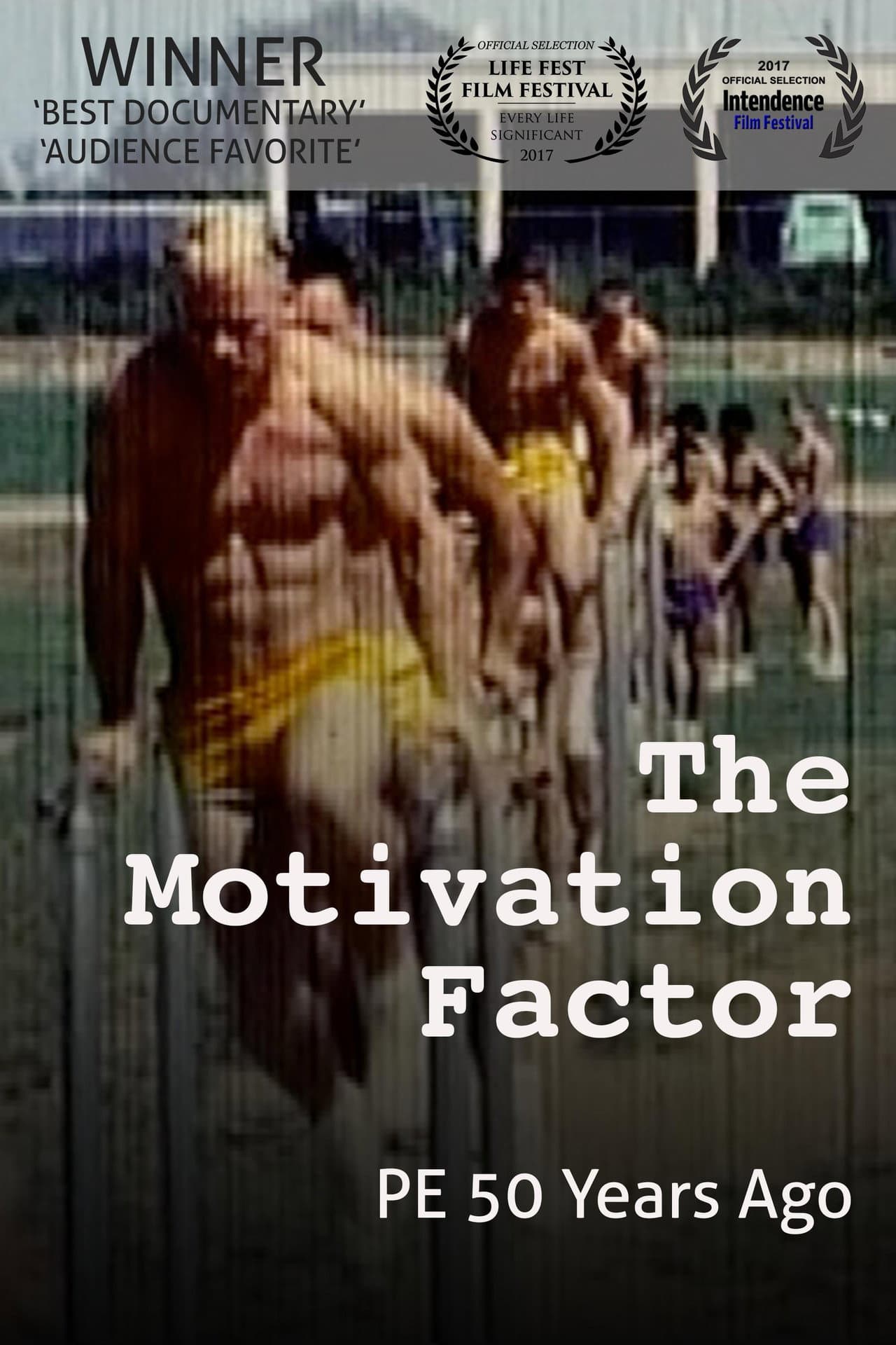 The Motivation Factor: to Become Smart, Productive & Mentally Stable preview 2