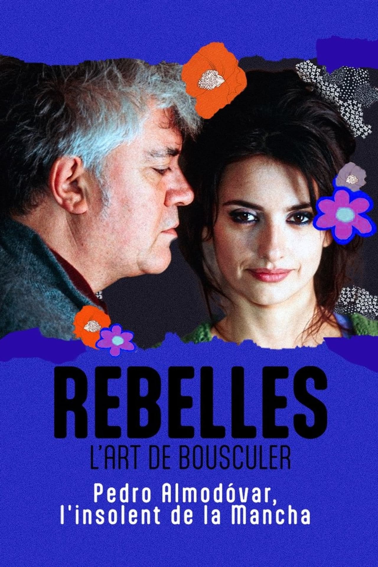 Almodóvar, l'insolent de la Mancha preview 2